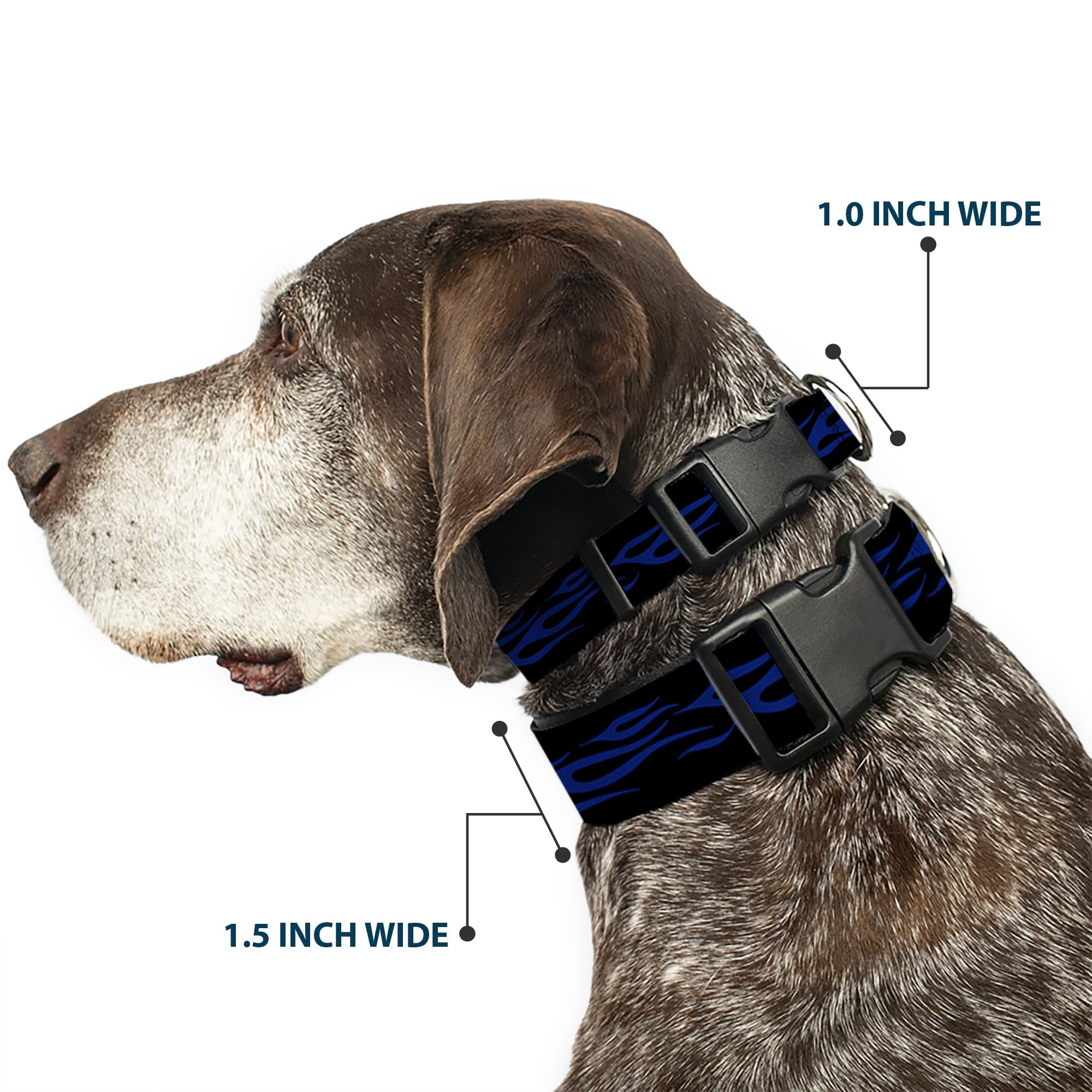 Buckle-Down Plastic Clip Collar - Flame Blue - 1.5 Wide - Fits 13-18 Neck - Small