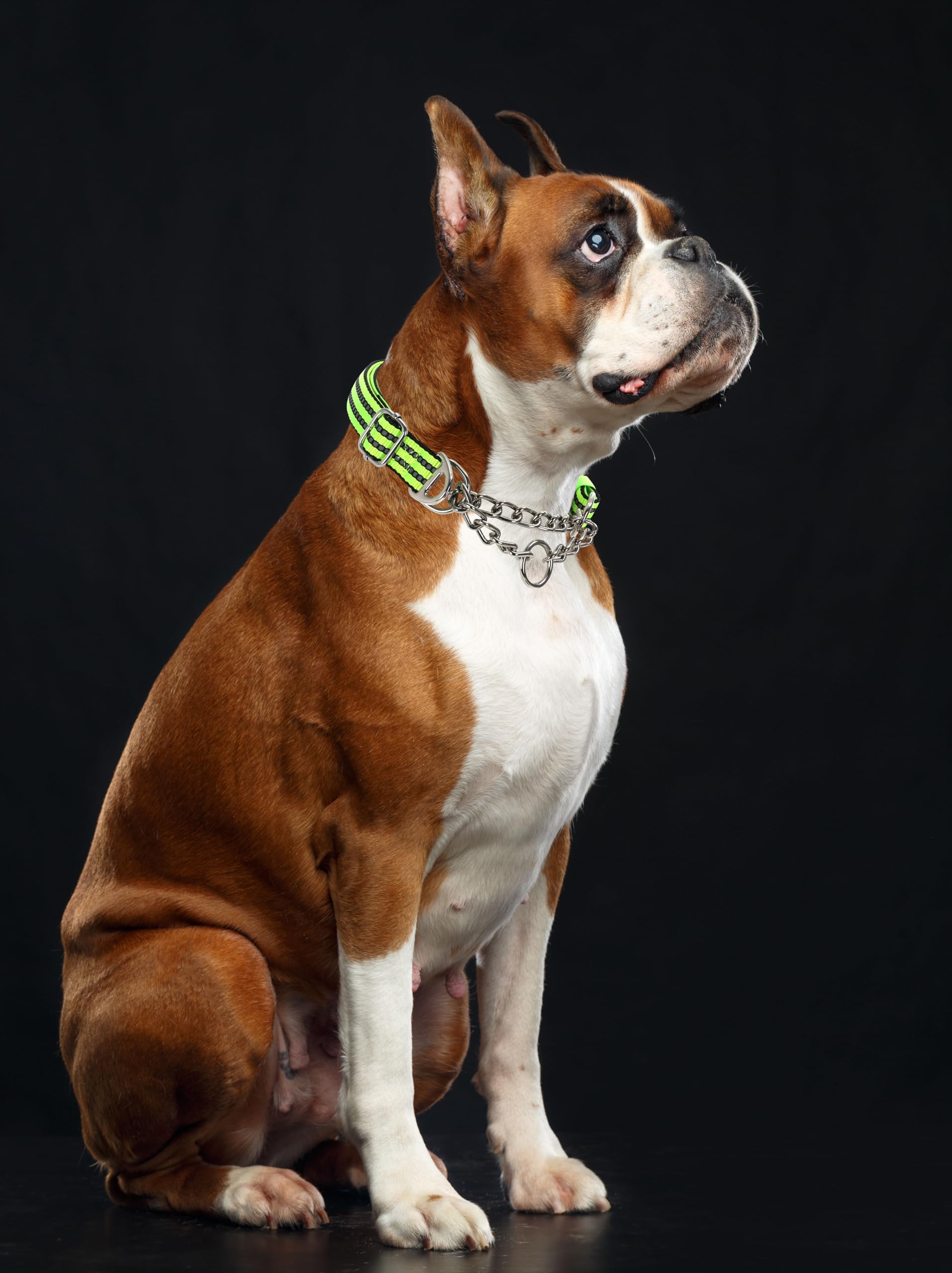 Green Martingale Collar For Large Dogs, Reflective Nylon Dog Chain Collar Escape Proof Heavy Duty Dog Collar With Stainless Stee