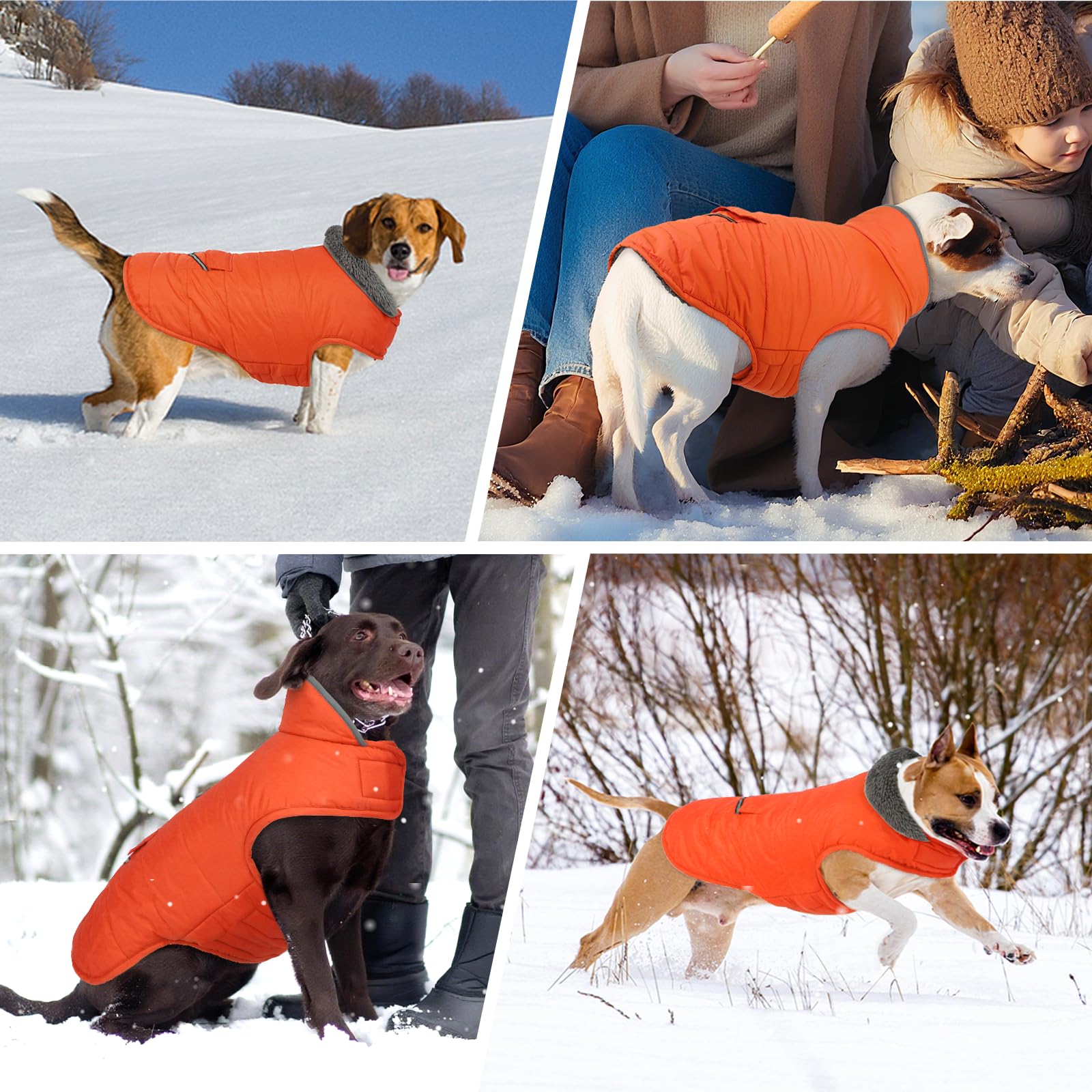 MIGOHI Warm Dog Coat, Winter Dog Jacket for Cold Weather, Reflective Windproof Dog Fleece Vest Thick Dog Apparel with Leash Hole