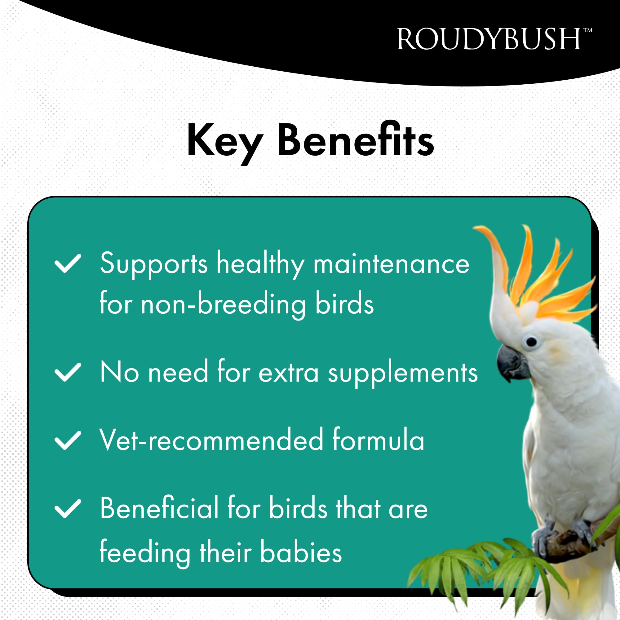 Roudybush Daily Maintenance Bird Food, Small, 44-Ounce