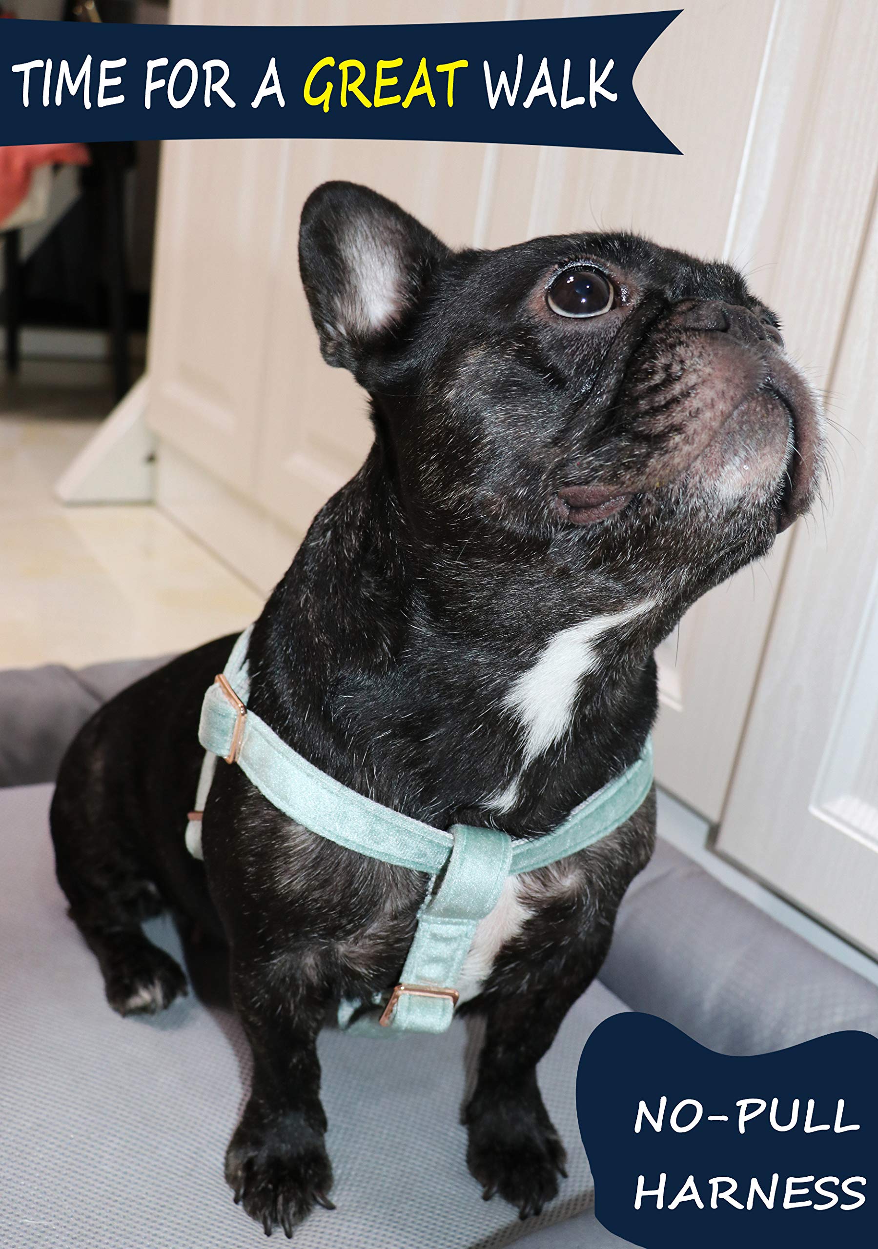 Aring Pet Dog Halter Harness, Velvet Dog Harness, No Pull Dog Halter Harness, Adjustable Heavy Duty Dog Harness For Small Medium