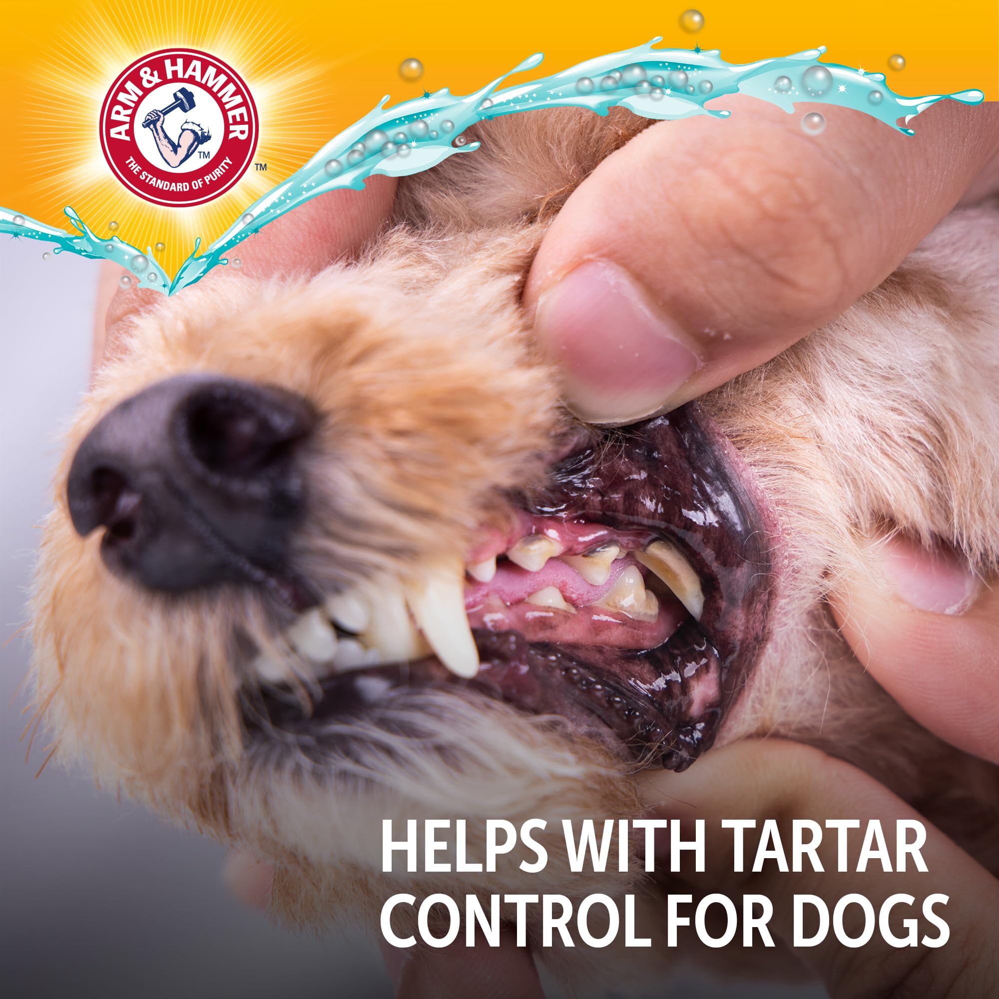 Arm & Hammer Complete Care Dental Water Additive for Dogs, Dog Breath Freshener, Dog Mouth Wash or Dental Rinse, Simply Add to P