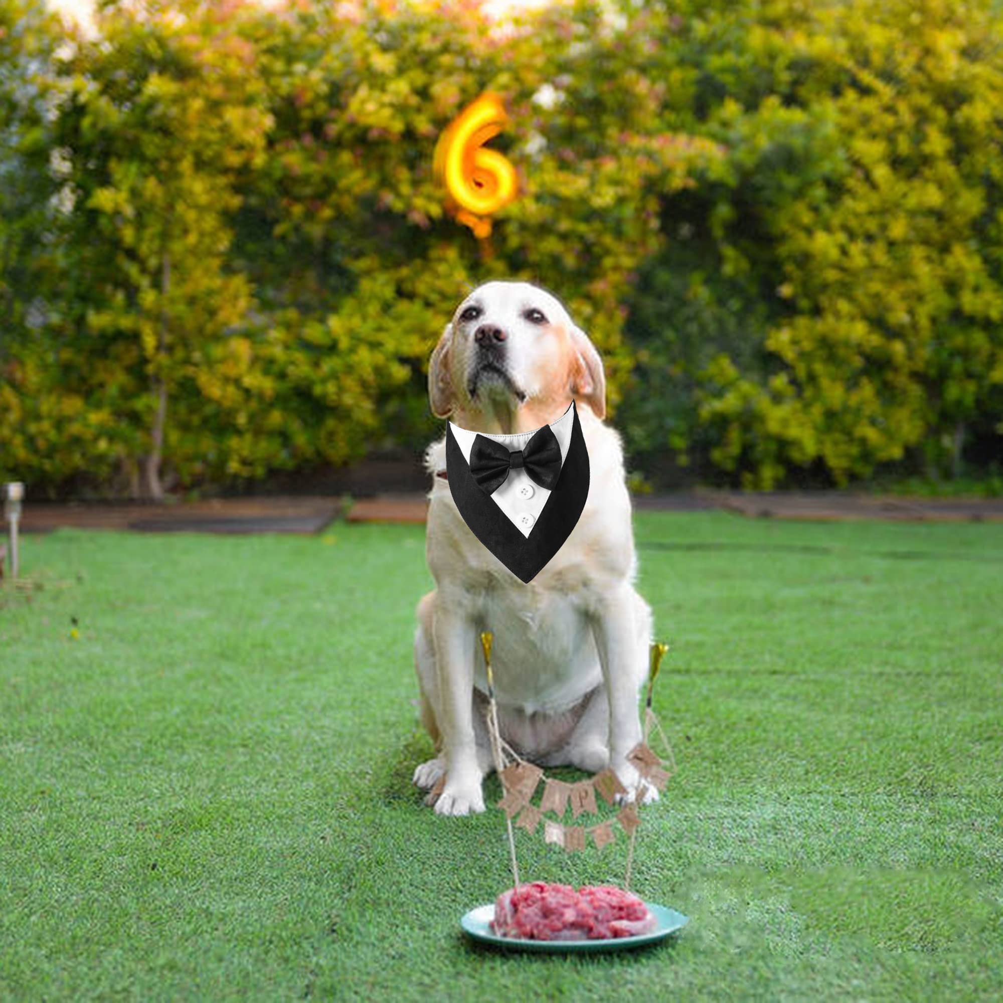 Adoggygo Formal Dog Tuxedo Wedding Dog Bandana Dog Wedding Tux With Bowtie Dog Birthday Costume Adjustable Dog Formal Outfit For Medium Large Dogs Pets (L, Black)