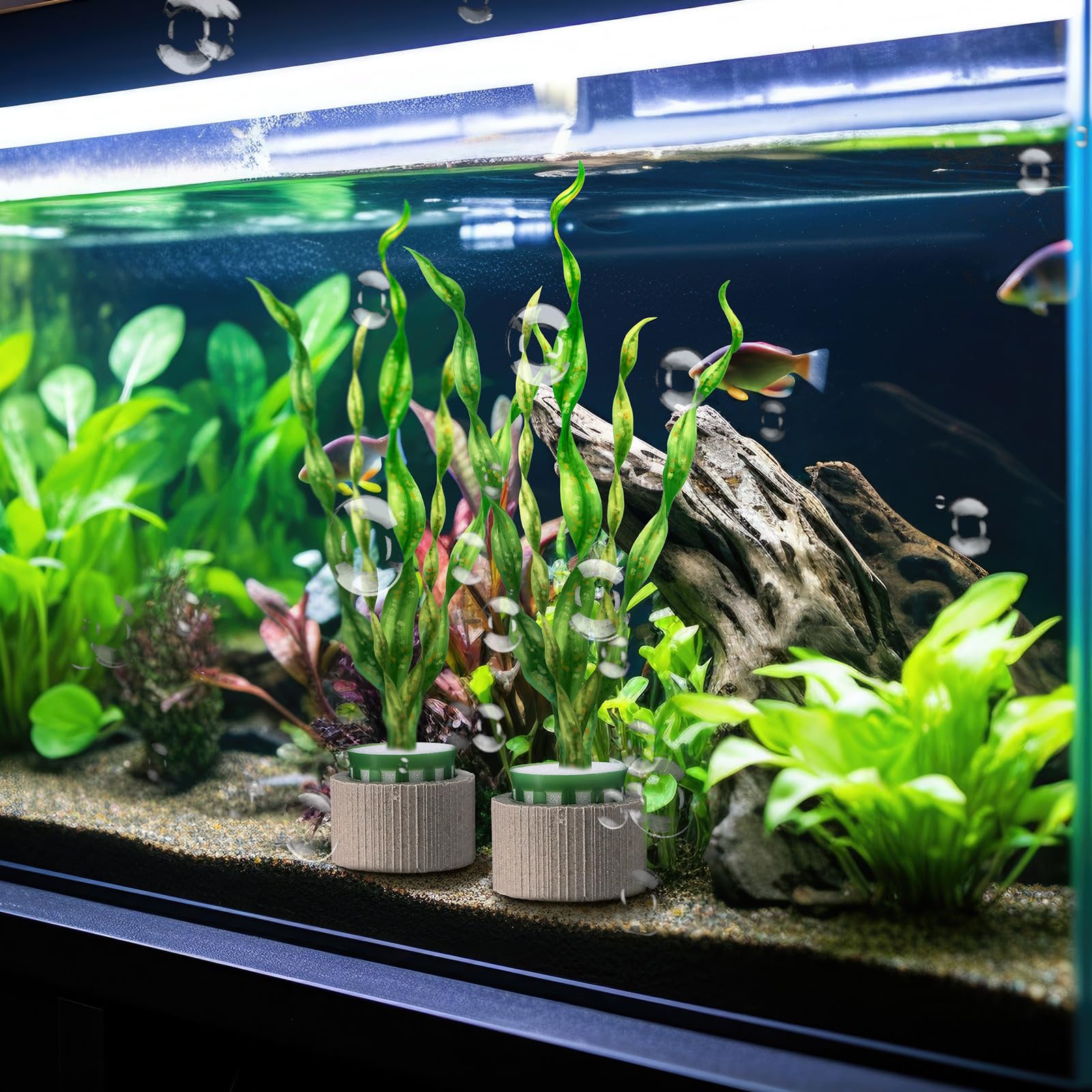 Wonderjune 25 Pack Aquarium Plant Weights Fish Tank Plant Holder Ceramic Anti Floating Aquatic Aquarium Pots Fixed Ring Set for