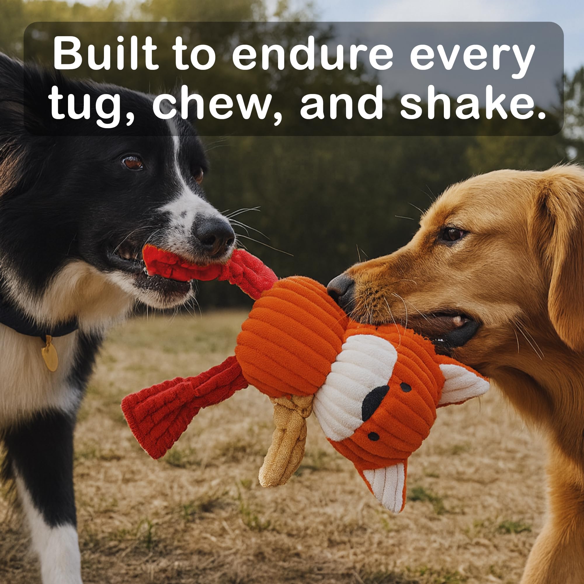 Jalousie Plush Toys Assortment Value Bundle Puppy Pet Mutt Squeak Toy for Medium Large Dogs (5 Pack Knotted)