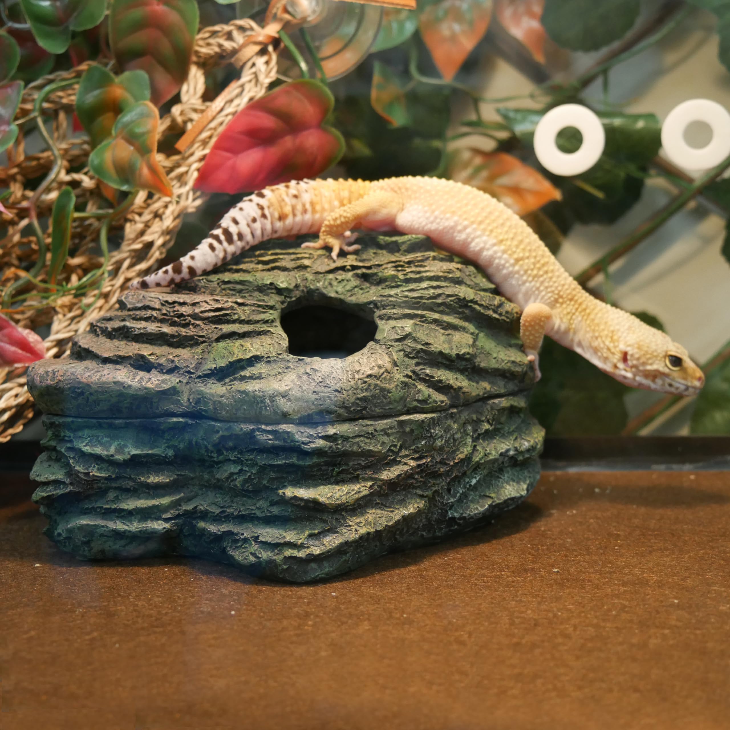 Penn-Plax Reptology Herp Haven Reptile Hide Away Rock Cave - For Terrariums And Aquariums - Great For Reptiles, Amphibians, And Fish – Medium