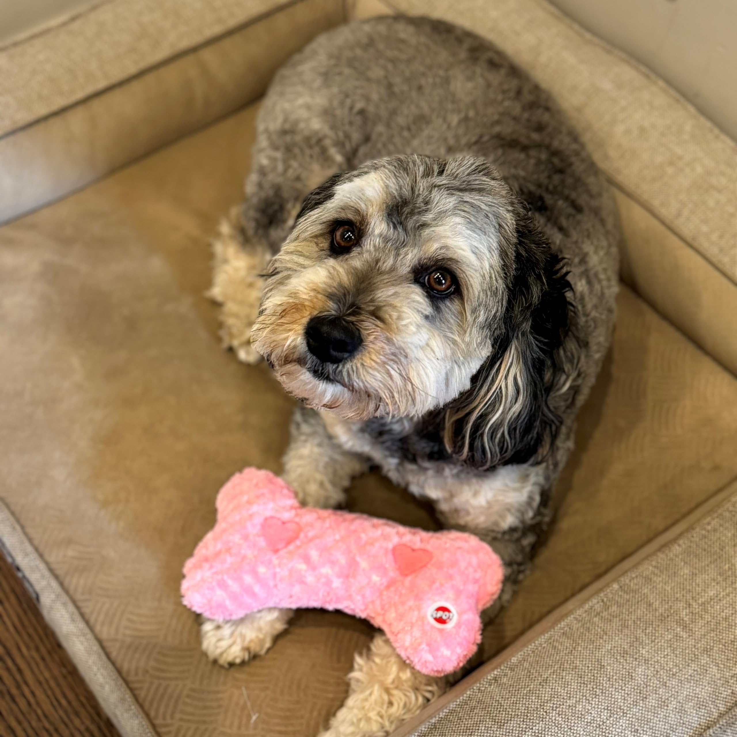 SPOT Soothers Warm Hug Bone - Plush Dog Toy with Lavender Beads, Removable Squeaker, Microwavable, 9in, for Small to Medium Dogs