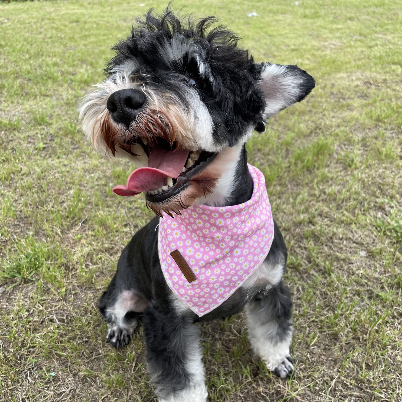 Up Urara Pup Summer Dog Bandana, Hawaii Bandana For Small Medium Dog, Cute Pink Puppy Bandana, Cotton Adorable Pet Triangle Bid