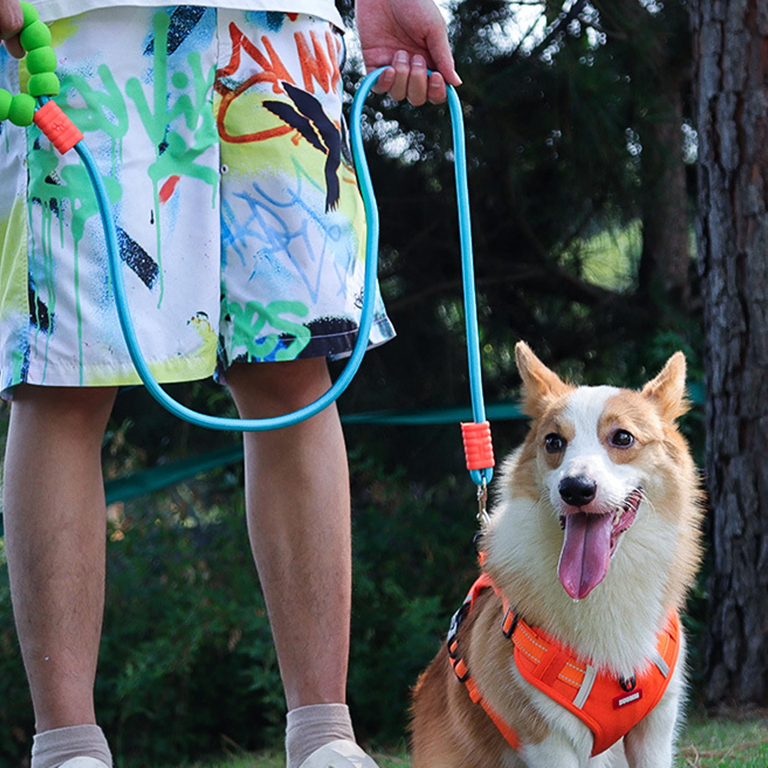 Teumessian 5/7/10 Ft Dog Leash With Padded Handle For Small Medium And Large Dogs, Bl, 7Ft