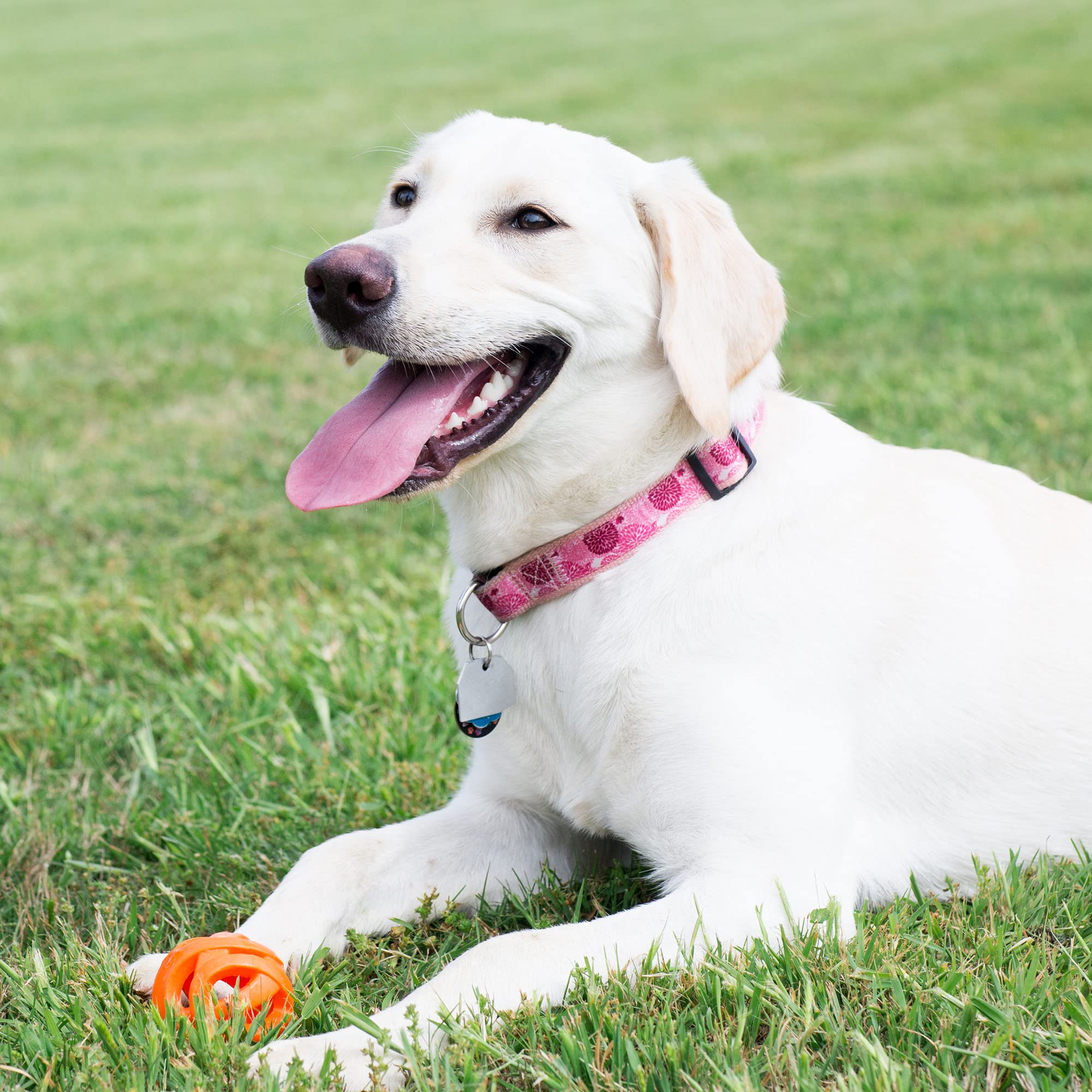 Chuckit! Air Fetch Ball Dog Toy - Size Large - For Dogs 60-100 Lbs - Bouncy And Durable - Hollow Design - 3-Inch Diameter - Pack Of 1