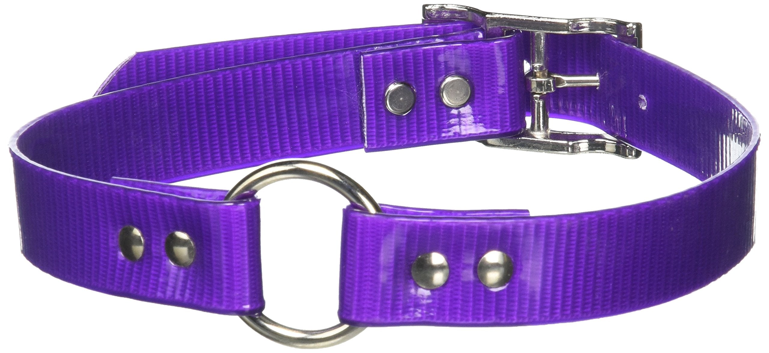 Omnipet Sunglo Ring-In-Center Dog Collar, 1' Wide, Purple, Fits 18.5'- 22' Neck Sizes, Vibrant Colors & Tough Construction Fo