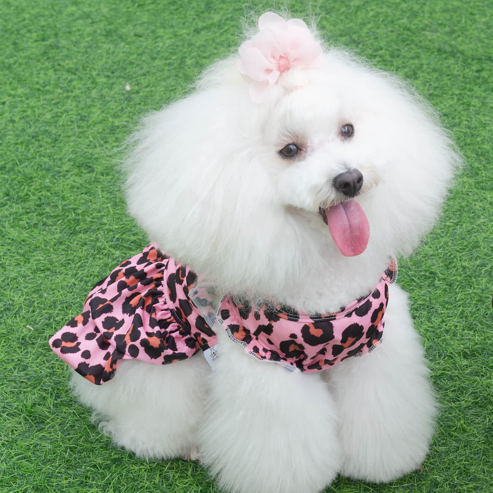 Cutebone Dog Velvet Dress Pink Leopard Puppy Skirt Costume Pet Outfit Cat Clothes With Bow Hair Rope Valentine'S Day Gift Dr23S