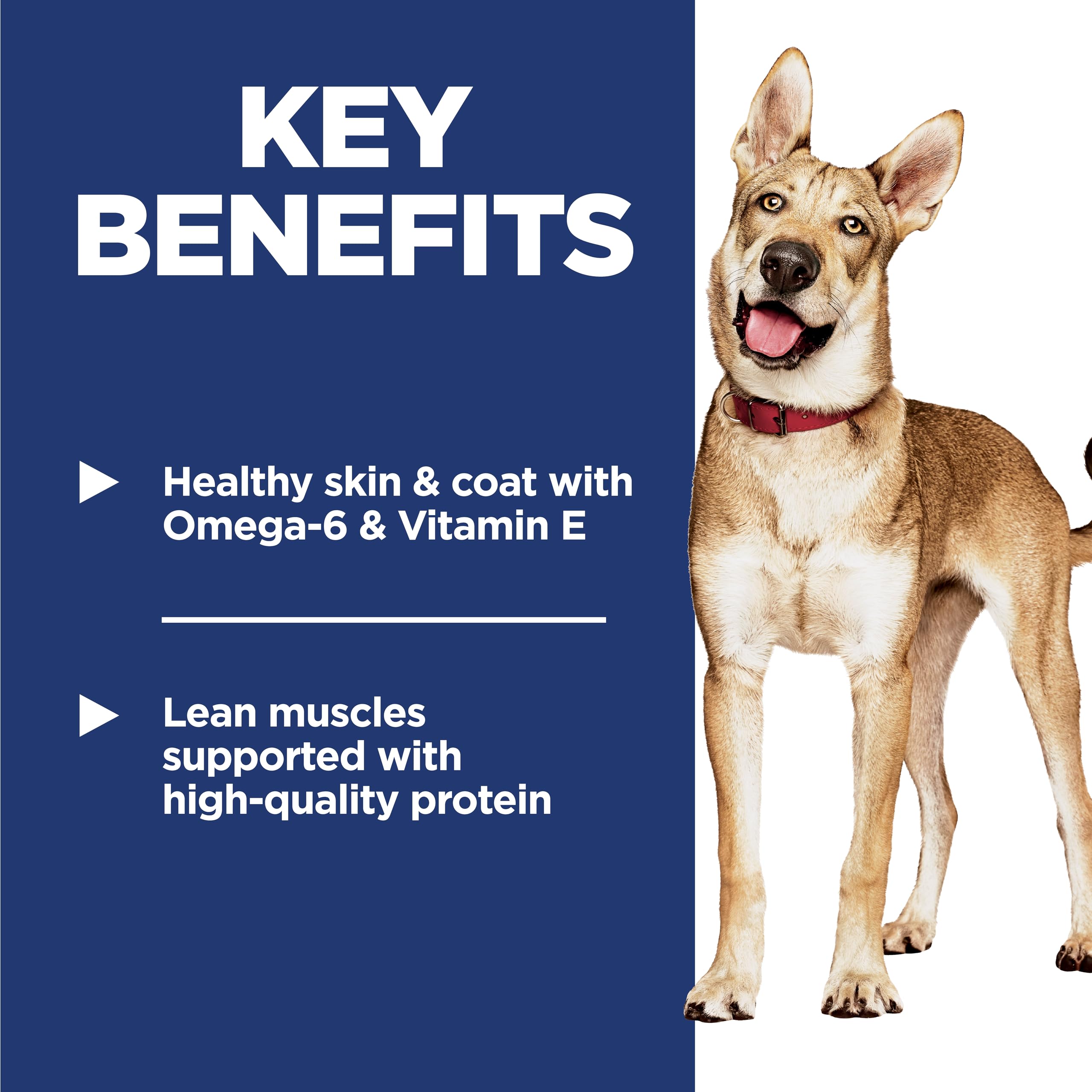 Hills Science Diet Adult 1-6, Adult 1-6 Premium Nutrition, Dry Dog Food, Chicken & Barley, 45 lb Bag