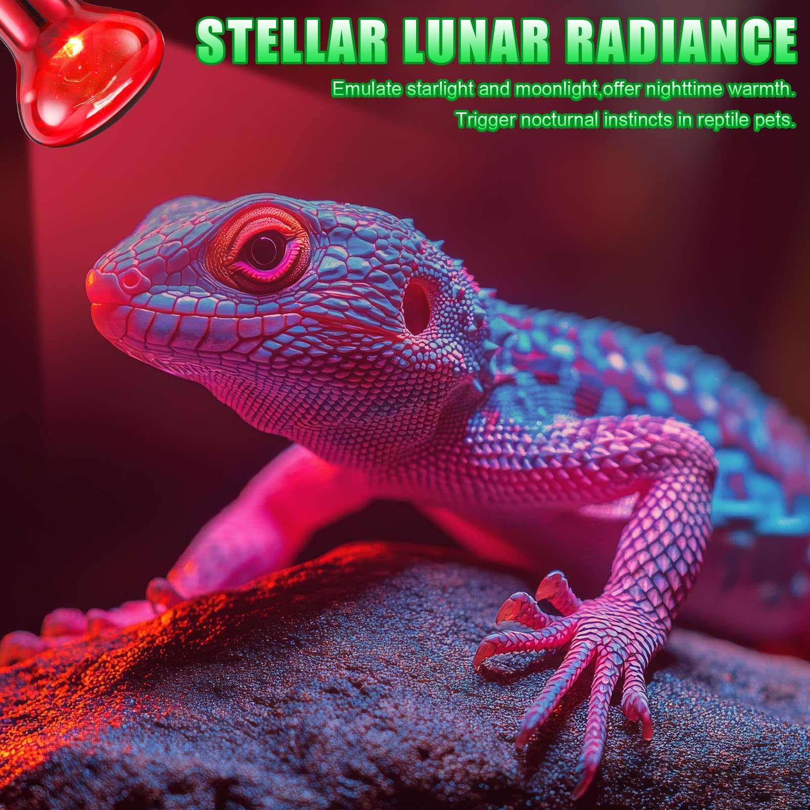 Kittmip 10 Pcs 75W Reptile Heat Lamp Bulb Day And Night Basking Spot Bulb Set Uva Daylight Bulb Amphibian Night Red Infrared Hea