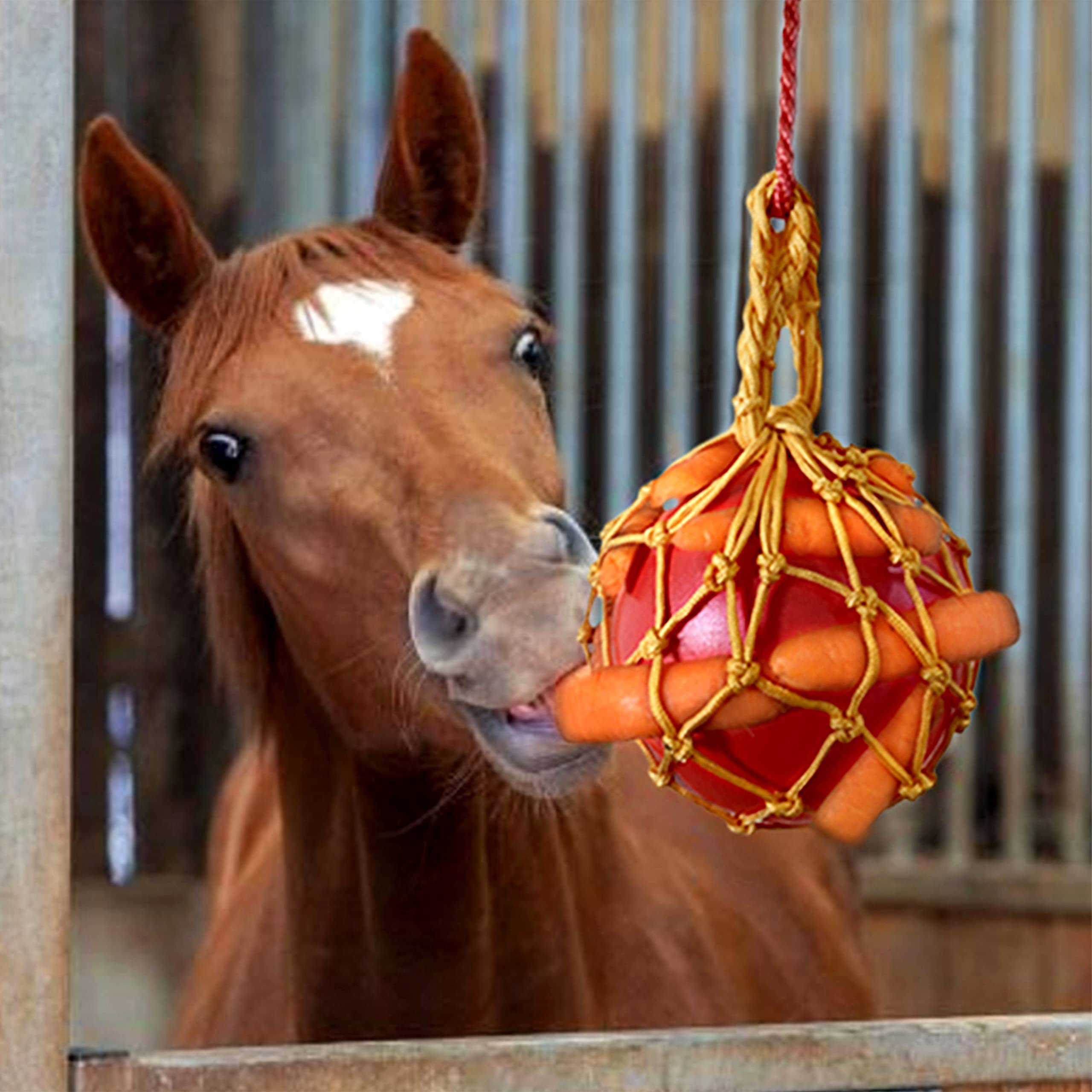Vomvomp Horse Carrot Feed Toy Hanging Carrot Feeding Toy Horse Treat Ball For Horse Stable Stall Rest