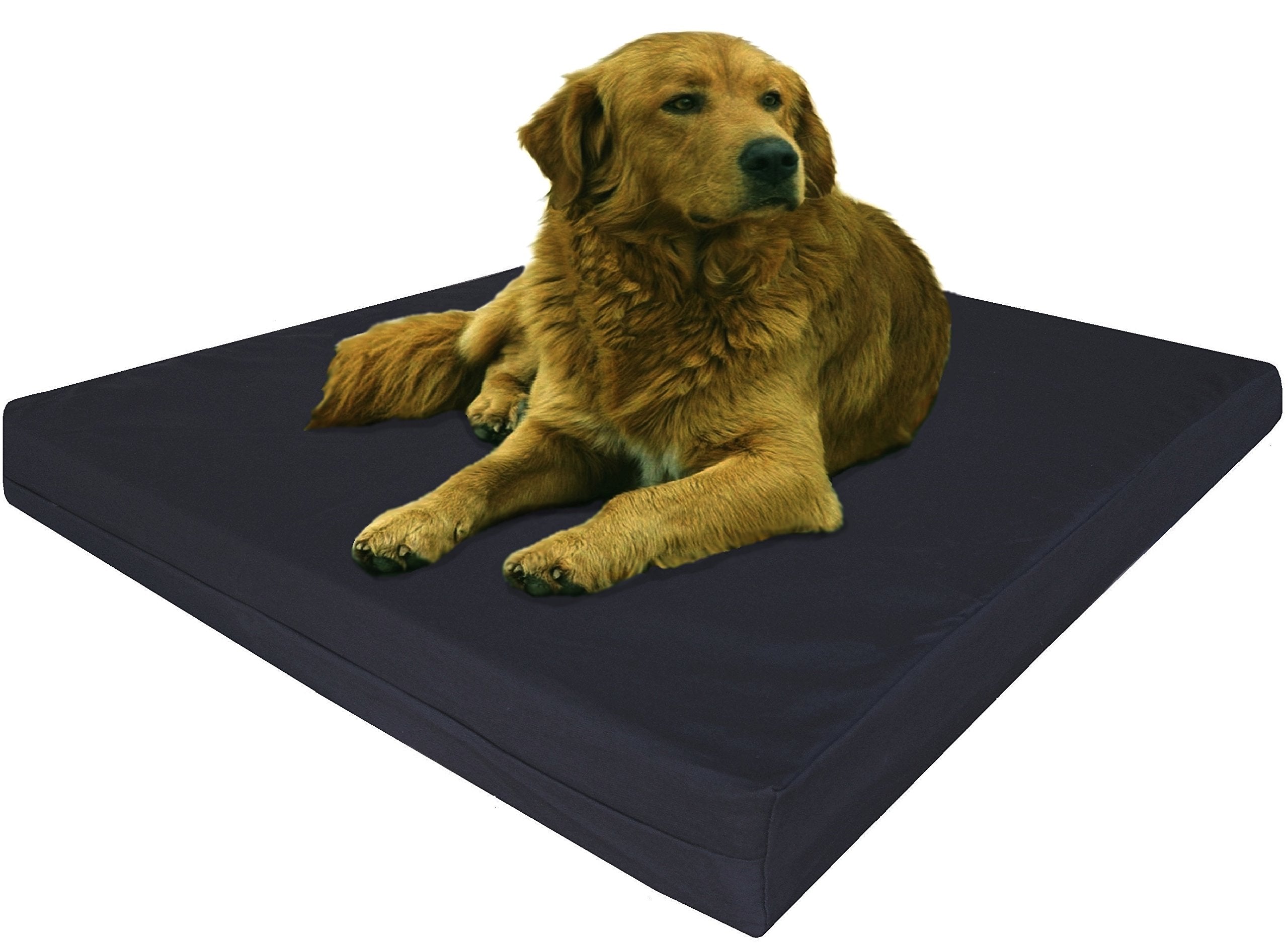 Dogbed4less Extra Large Orthopedic Gel Infused Memory Foam Dog Bed, Waterproof Liner with Durable Canvas Cover, 47X29X4 Inch, Bl
