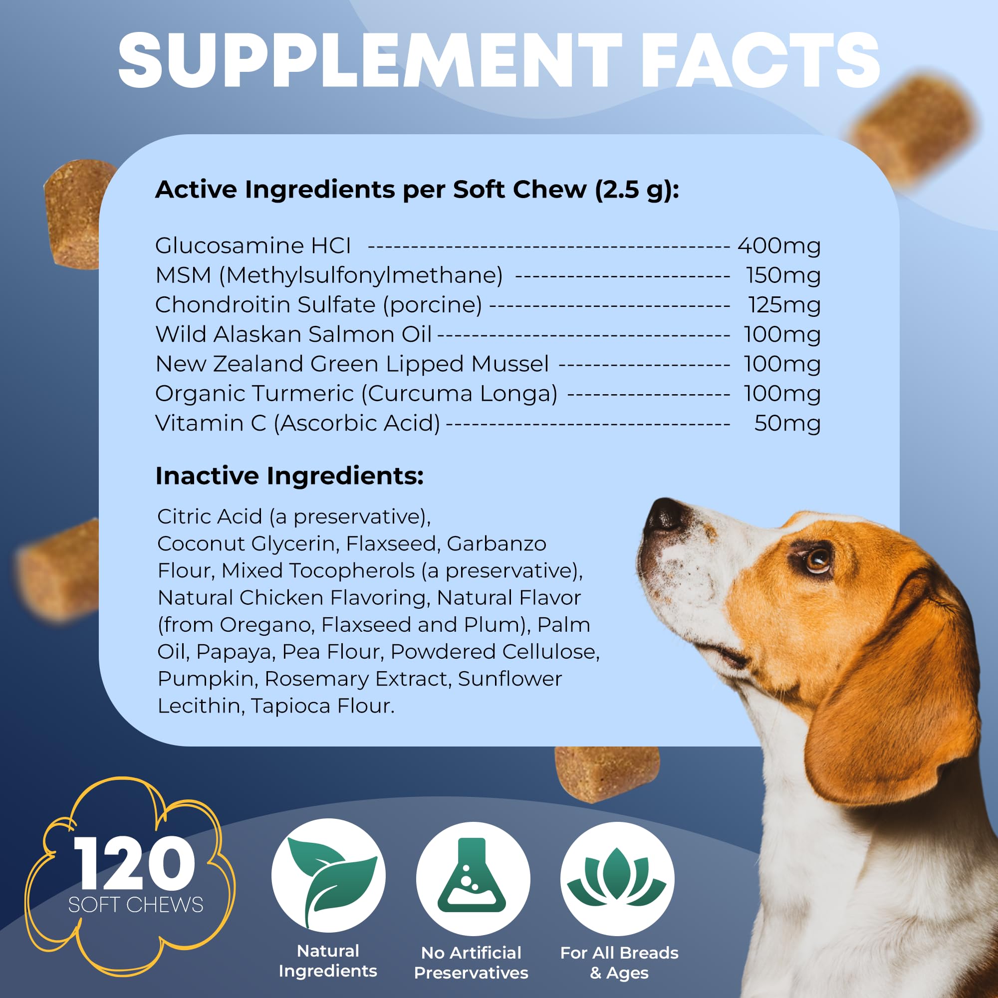 Hip and Joint Supplement for Dogs 120 Dog Chews - Advanced Glucosamine for Dogs - Chicken Flavor Hip and Joint Chews for Dogs -