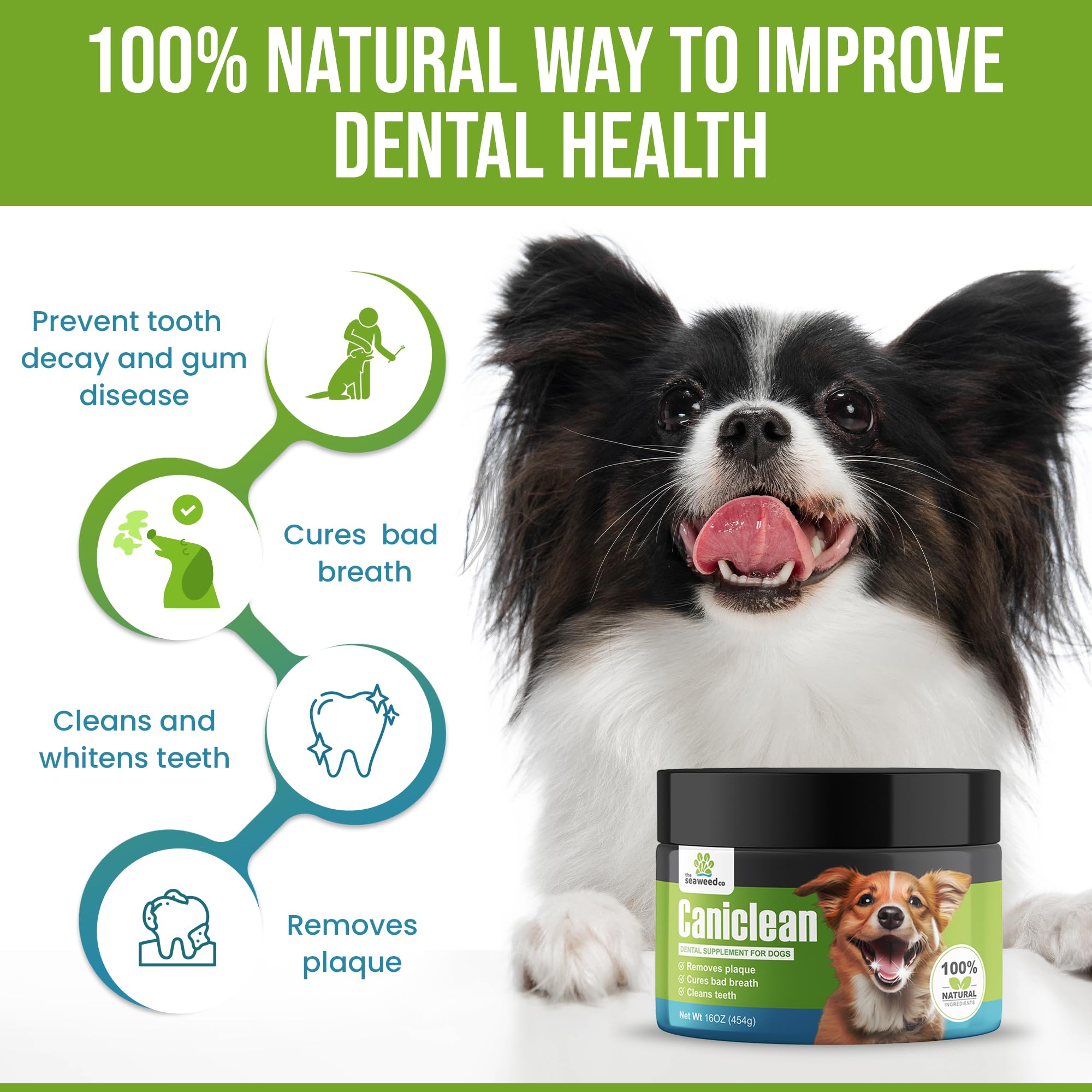 Caniclean Seaweed for Dogs Teeth - Dog Tartar Removal Tool, Plaque Remover, and Breath Freshener - Get Plaque Off Dogs Teeth Nat