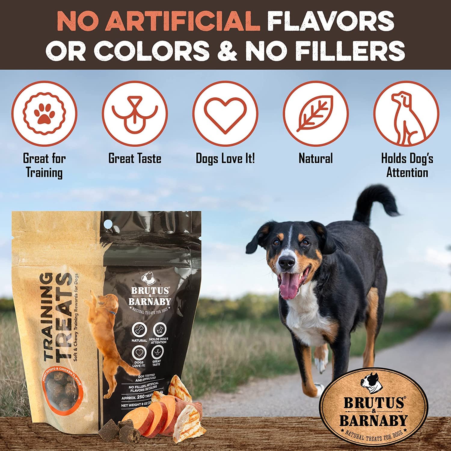 BRUTUS & BARNABY Training Treats for Dogs - Sweet Potato & Chicken - All-Natural Healthy Low Calorie Treat - Great to Use for Re
