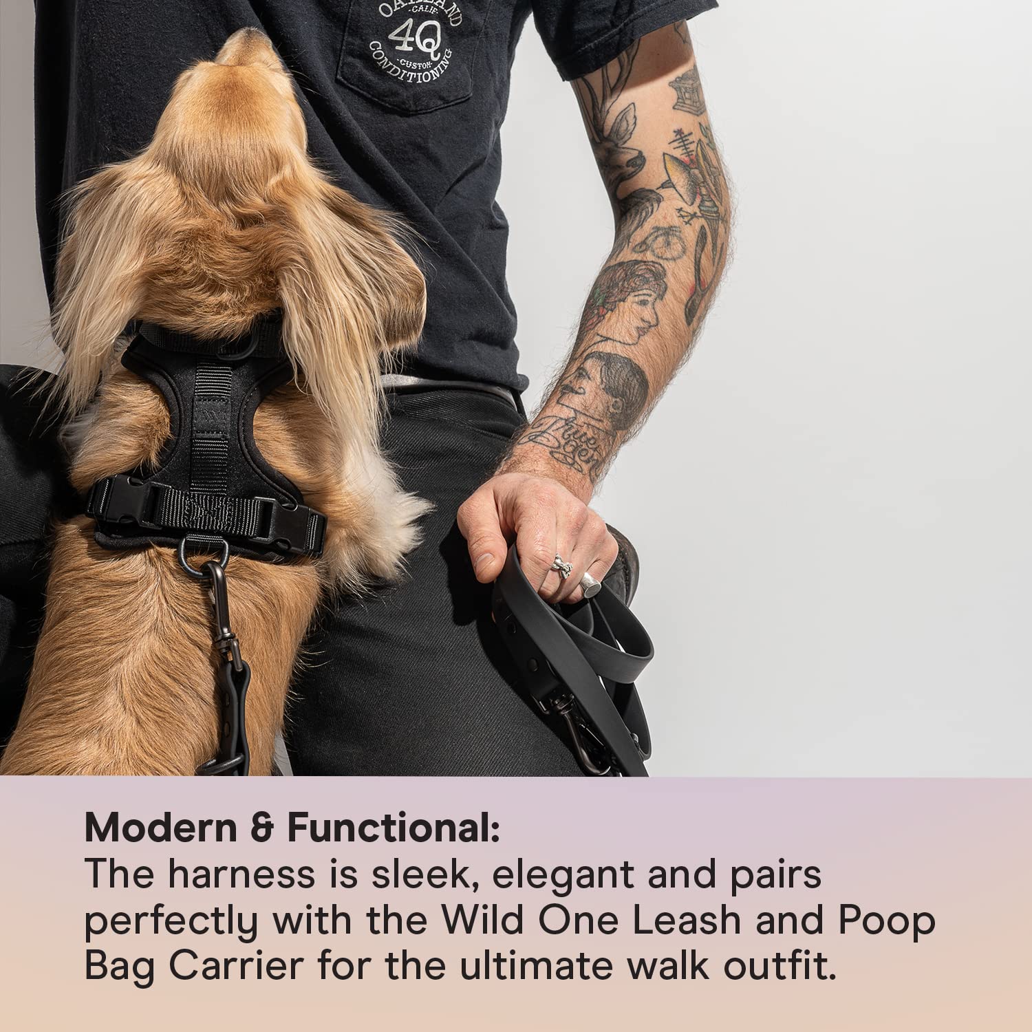Wild One Dog Harness, The Original No-Pull, Pet Harness With 3 Leash Clips, Adjustable Soft Padded Vest, Comfortable, Stretchy,