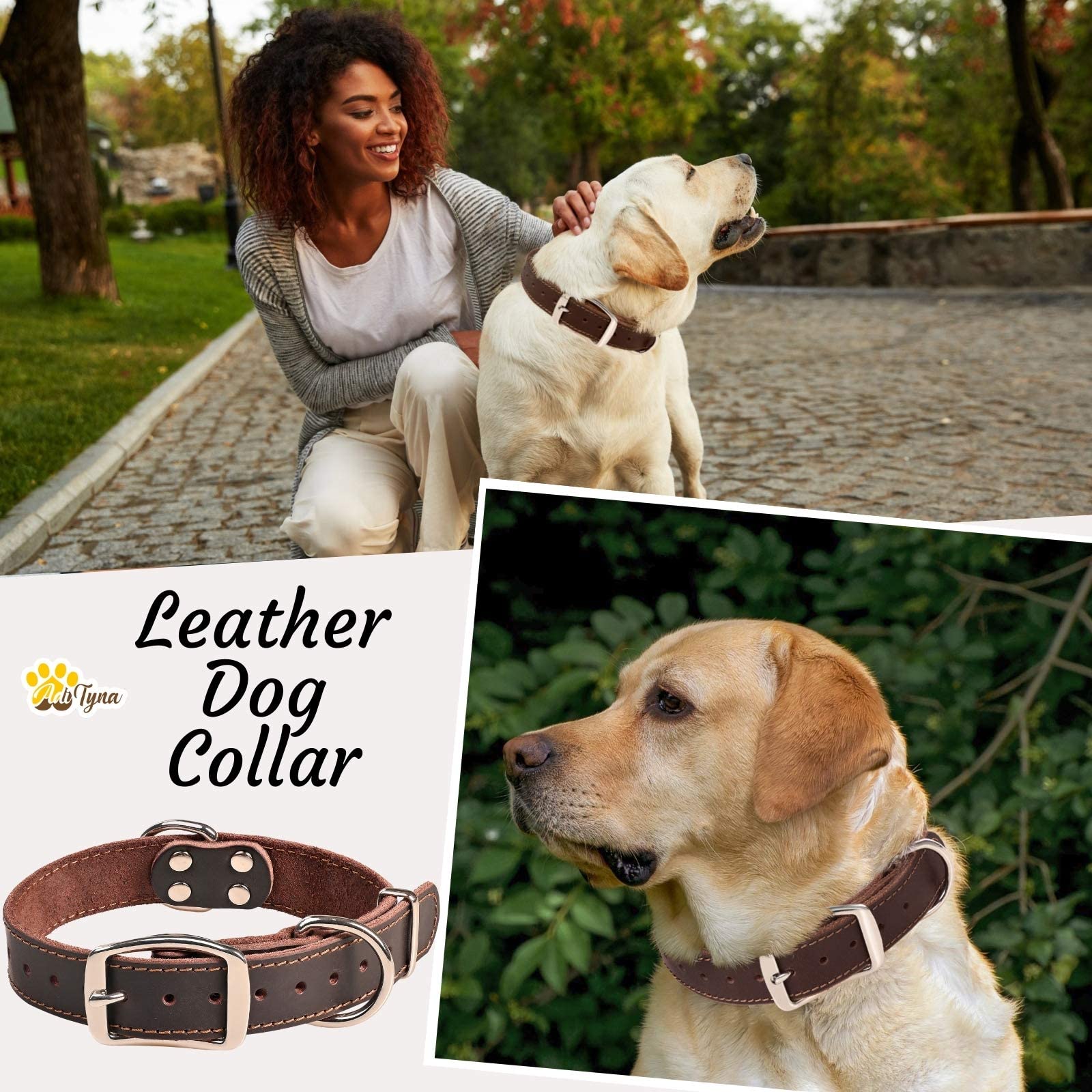 Adityna Heavy Duty Leather Dog Collar For Medium Dogs - Medium Dog Collar Gift Ideea For Dog Lovers - Soft And Strong,100% Genuine Leather (Medium, Brown)