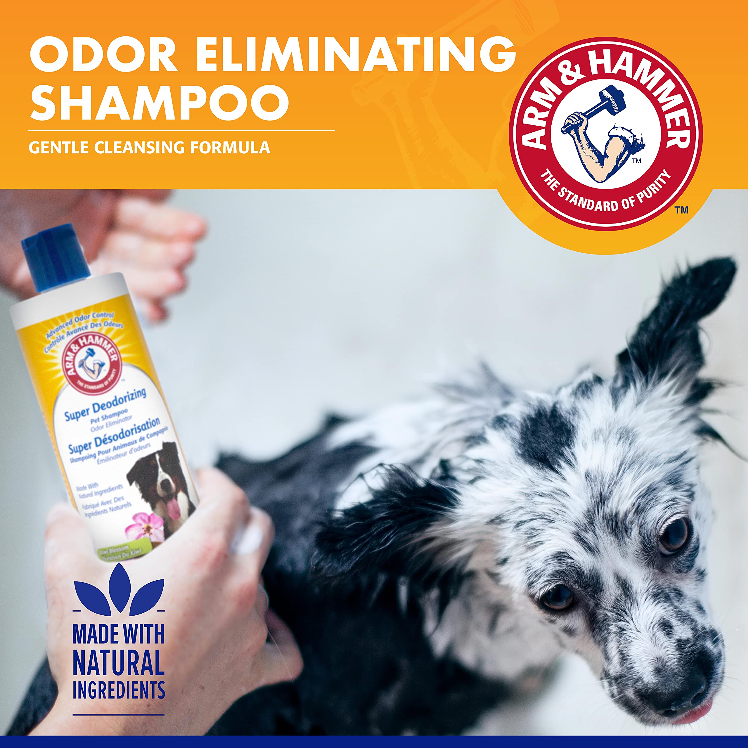 Arm & Hammer For Pets Super Deodorizing Shampoo For Dogs | Best Odor Eliminating Dog Shampoo | Great For All Dogs & Puppies, Fresh Kiwi Blossom Scent, 16 Oz