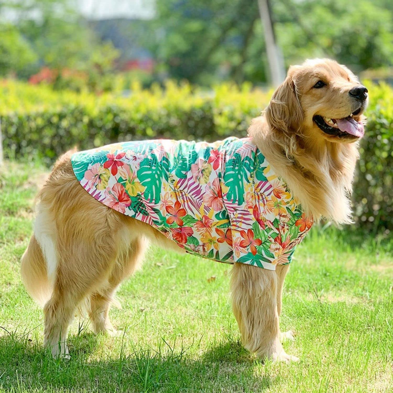Harikaji Dog Hawaiian Shirt, Summer Pet Clothes Large Dog Cool Costume Beach T-Shirt For Medium Large Dog(Red,5Xl)
