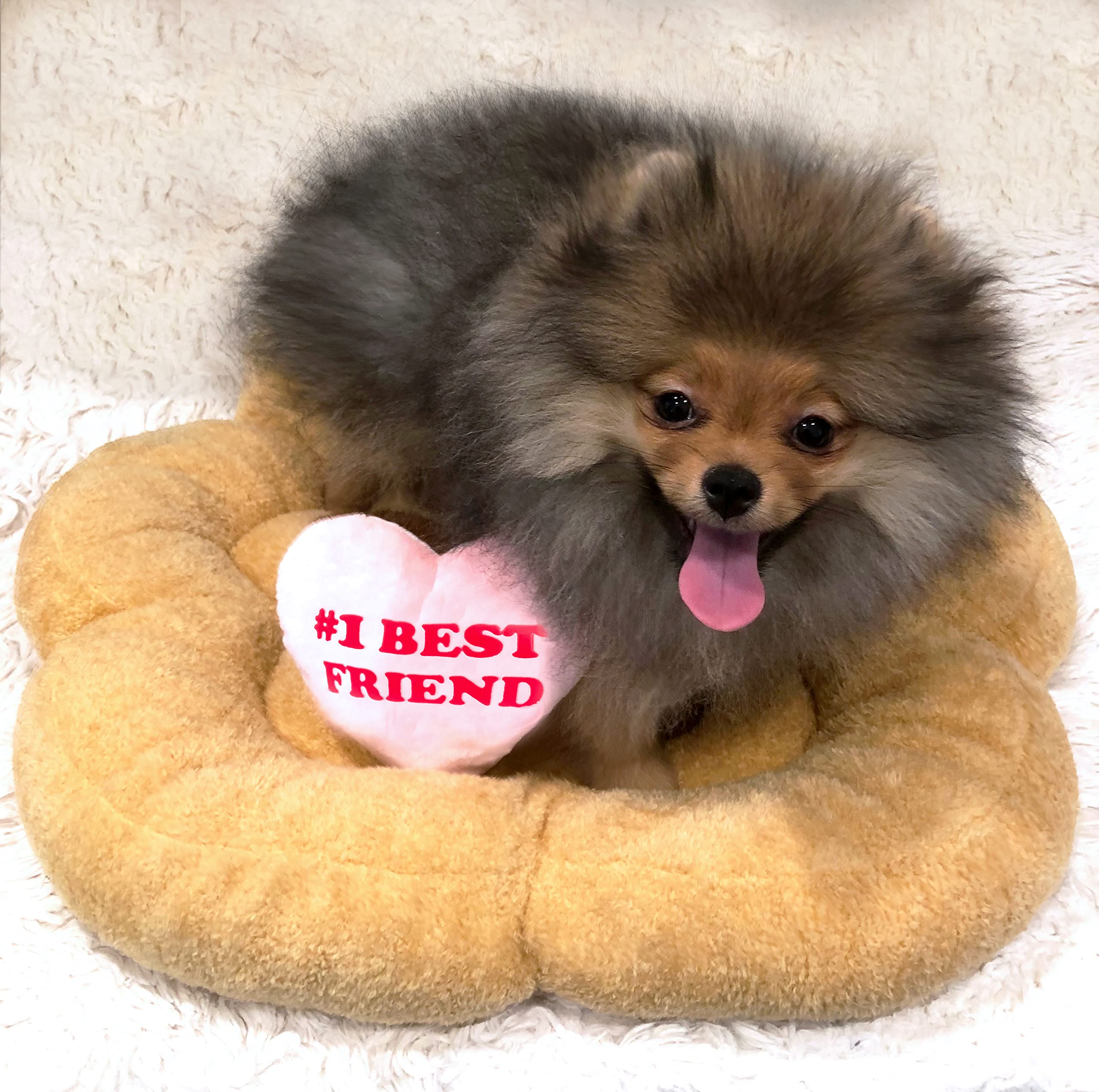 Tonbo Soft Plush Small Cute And Cozy Nature Dog Cat Bed, Washer And Dryer Friendly (Paw)