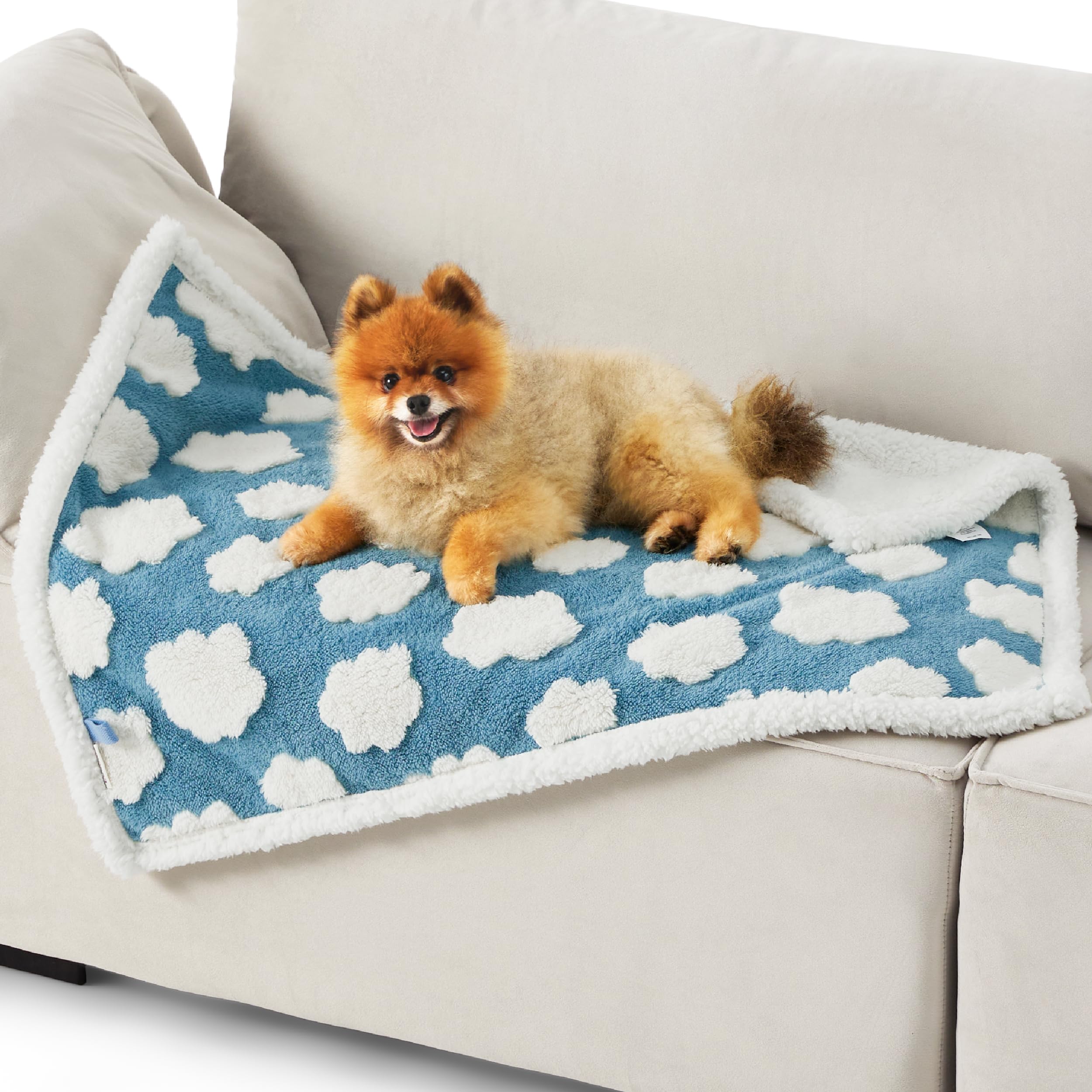 Lesure Waterproof Puppy Blanket For Small Dogs - Washable Double Sided Dog Blankets With Warm Jacquard Shag And Soft Sherpa Fleece, Pet Cat Blanket For Couch Protection, 3D Textured Cloud, Blue