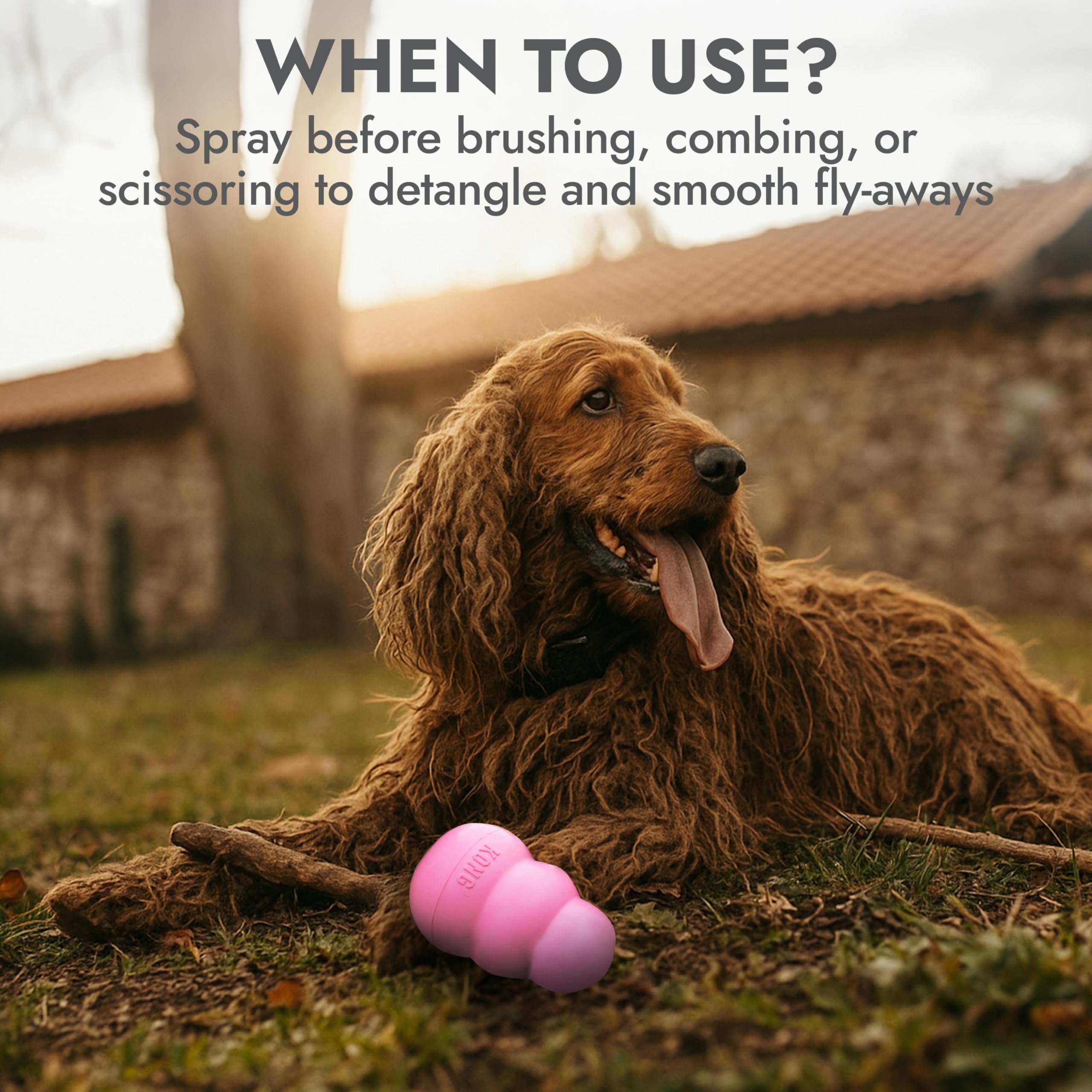 Kong Detangler Spray for Dogs - Cucumber Melon Scent, 16 fl oz - Loosens Knots, Softens & Smooths Coats, Biodegradable, Alcohol-