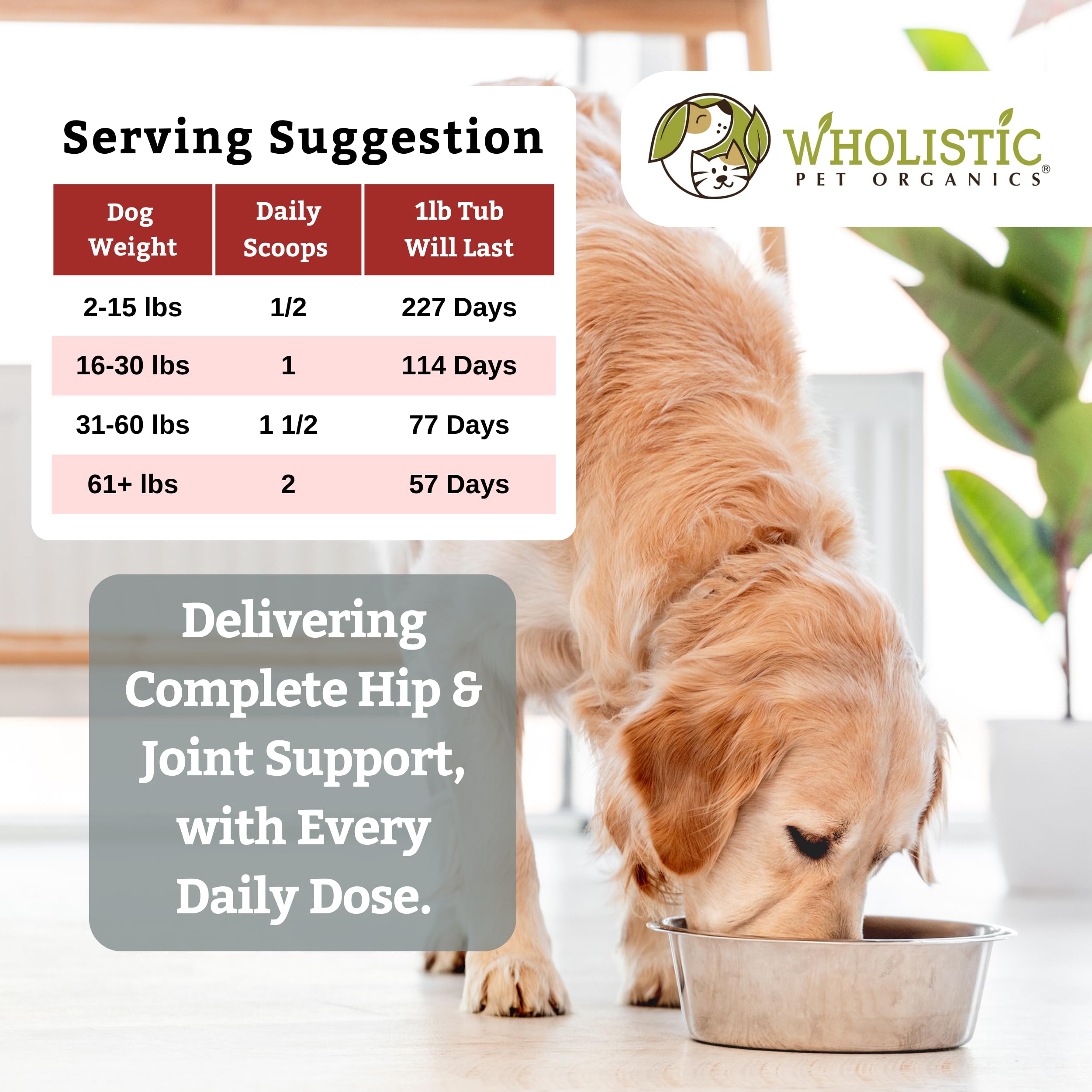Wholistic Pet Organics Joint Supplement for Dogs - Glucosamine Chondroitin & MSM - 1 Lb - Run Free™ - Supports Mobility for All Breeds