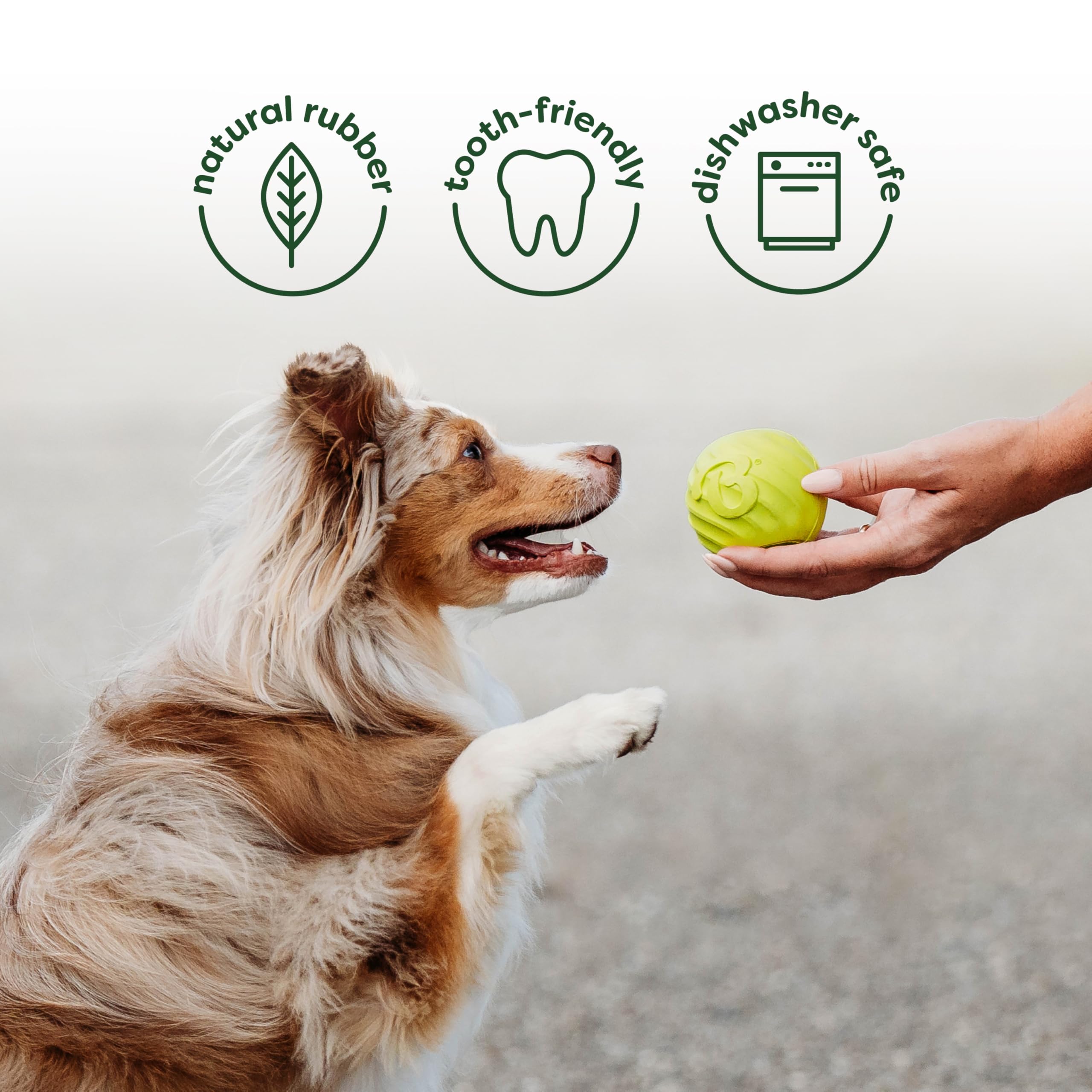 Benebone 4-Pack Ball/Bone/Bacon Wishbone/Fishbone Medium