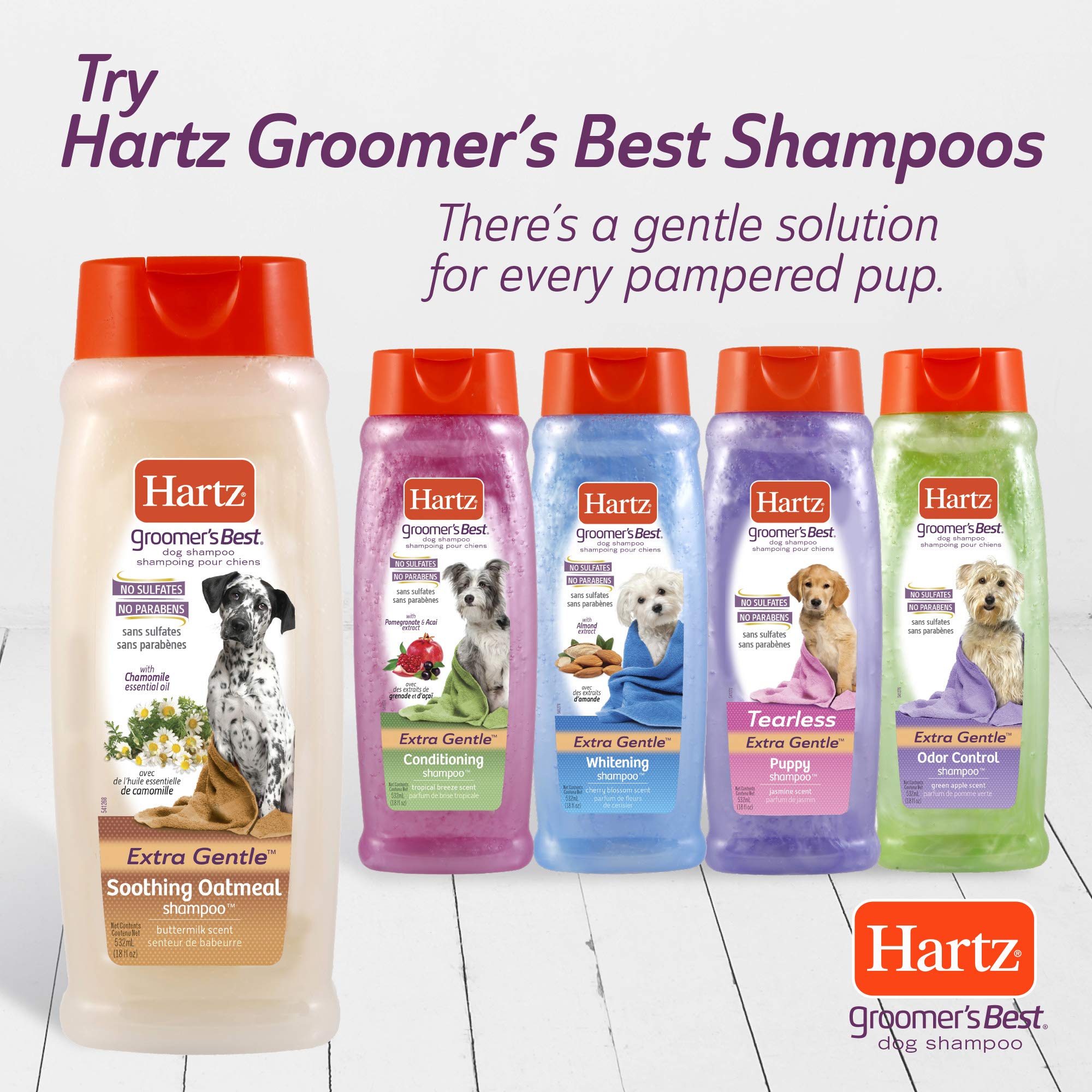 Hartz Groomer's Best Conditioning Shampoo for Dogs
