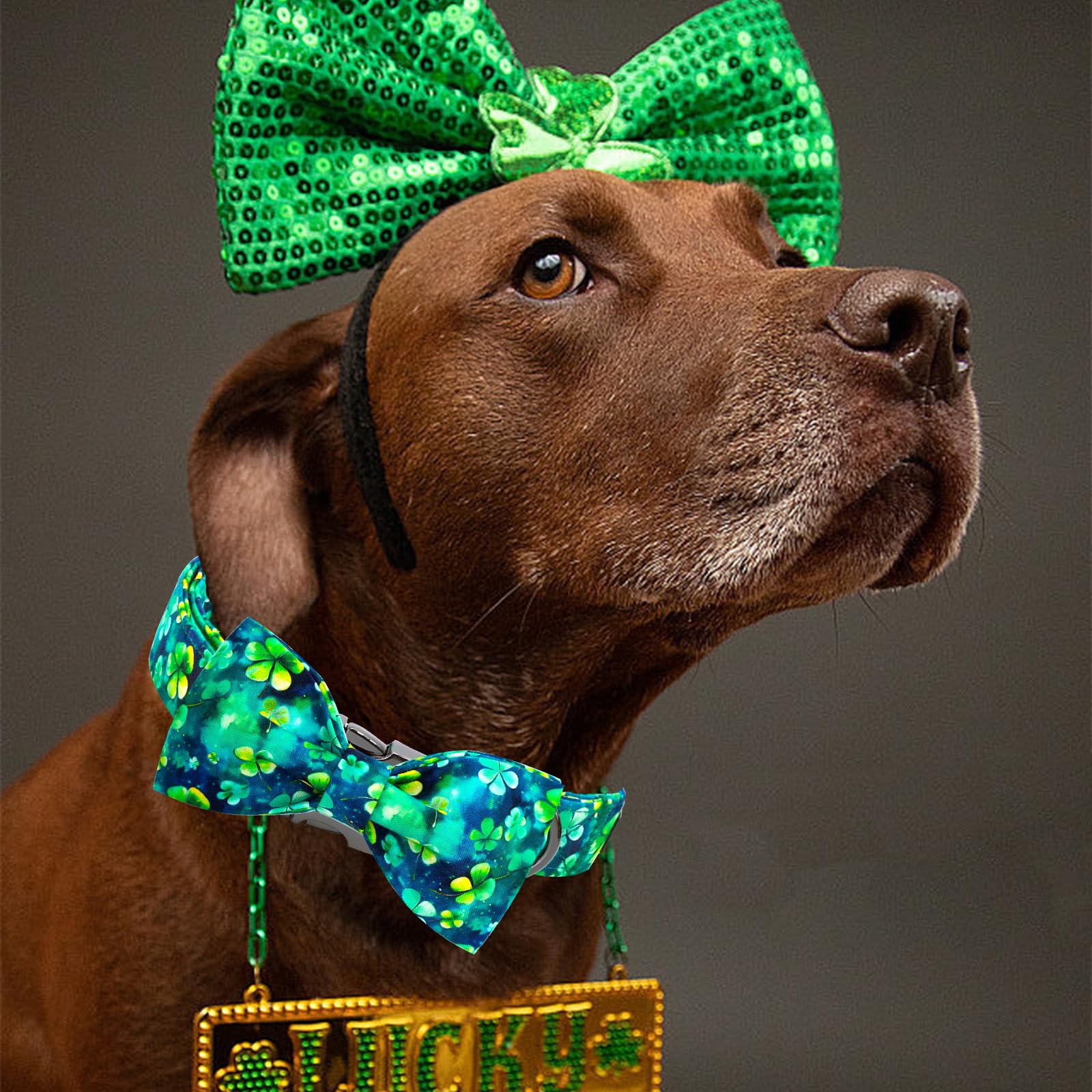 Elegant little tail St Patrick's Dog Collar, Green Cute Colver Cotton Shamrock Pet Collar Trefoil Puppy Collar Bow Holiday Adjus