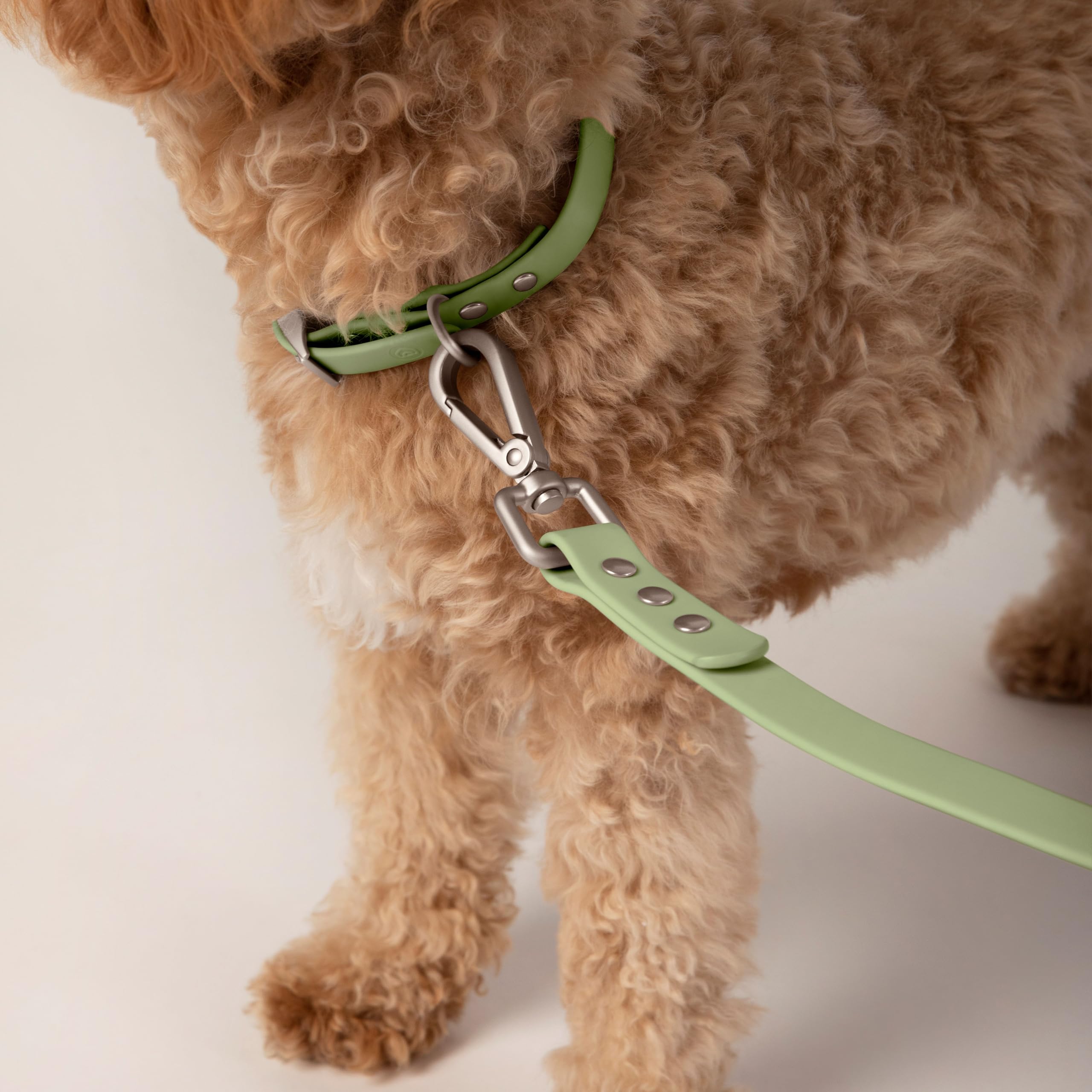 Diggs Waterproof Dog Leash - Soft Coated Nylon Heavy Duty Dog Leash - Easy To Clean, Durable Puppy Lead - Mini 4Ft, Sage