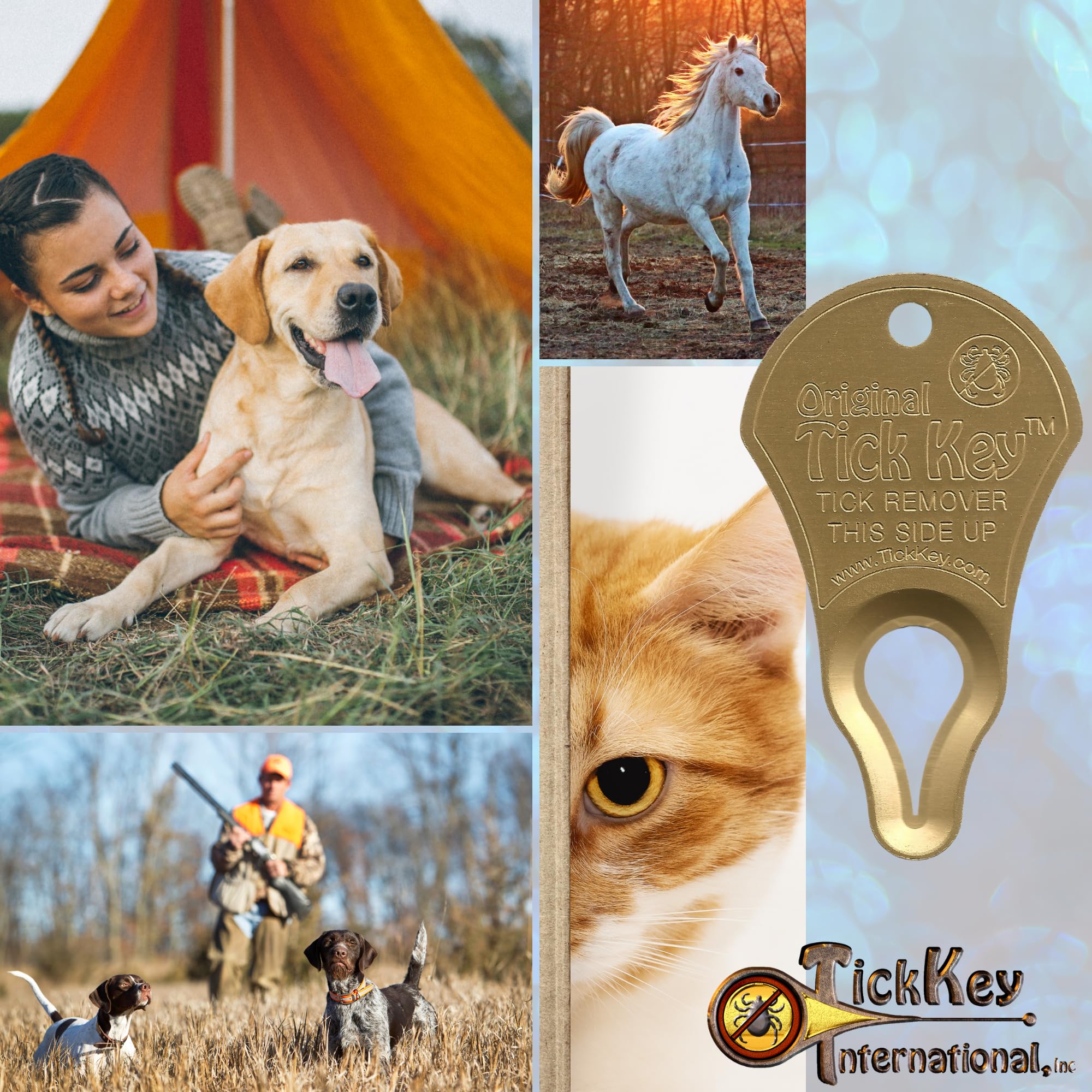 The Original Tick Key - Tick Detaching Device - Portable, Safe And Highly Effective Tick Detaching Tool 3 Pack (Assorted)