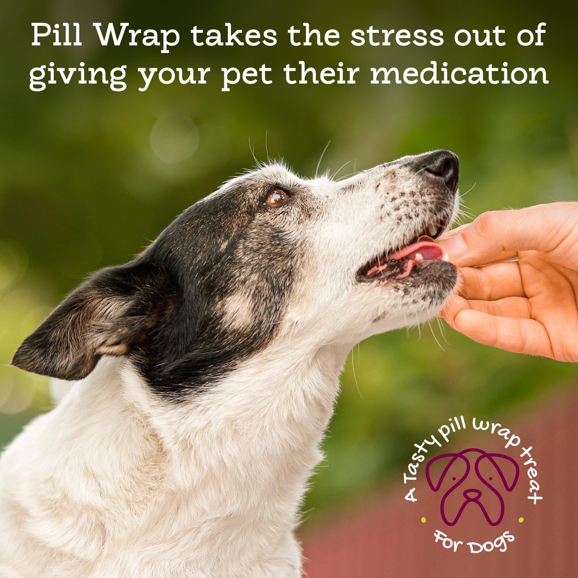 Rileys Pill Wrap for Dogs - Delicious Pumpkin & Peanut Butter Flavored Pill Paste for Dogs - Wrap Pills, Capsules, Tablets in a