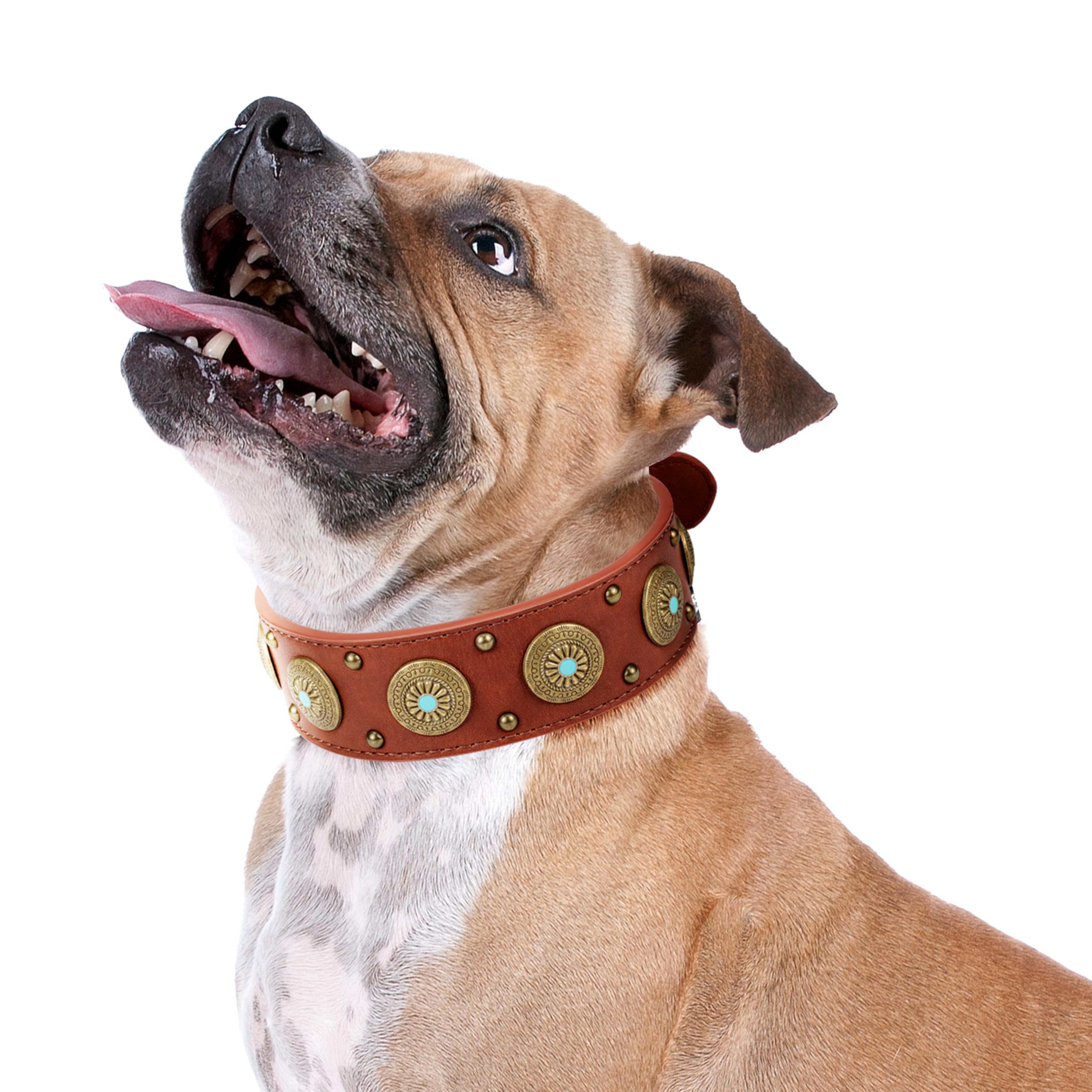 Leather Dog Collars For Small Dogs - Heavy Duty Adjustable, Durable Pu Leather Collar For Small, Medium, Large, And Extra Large 
