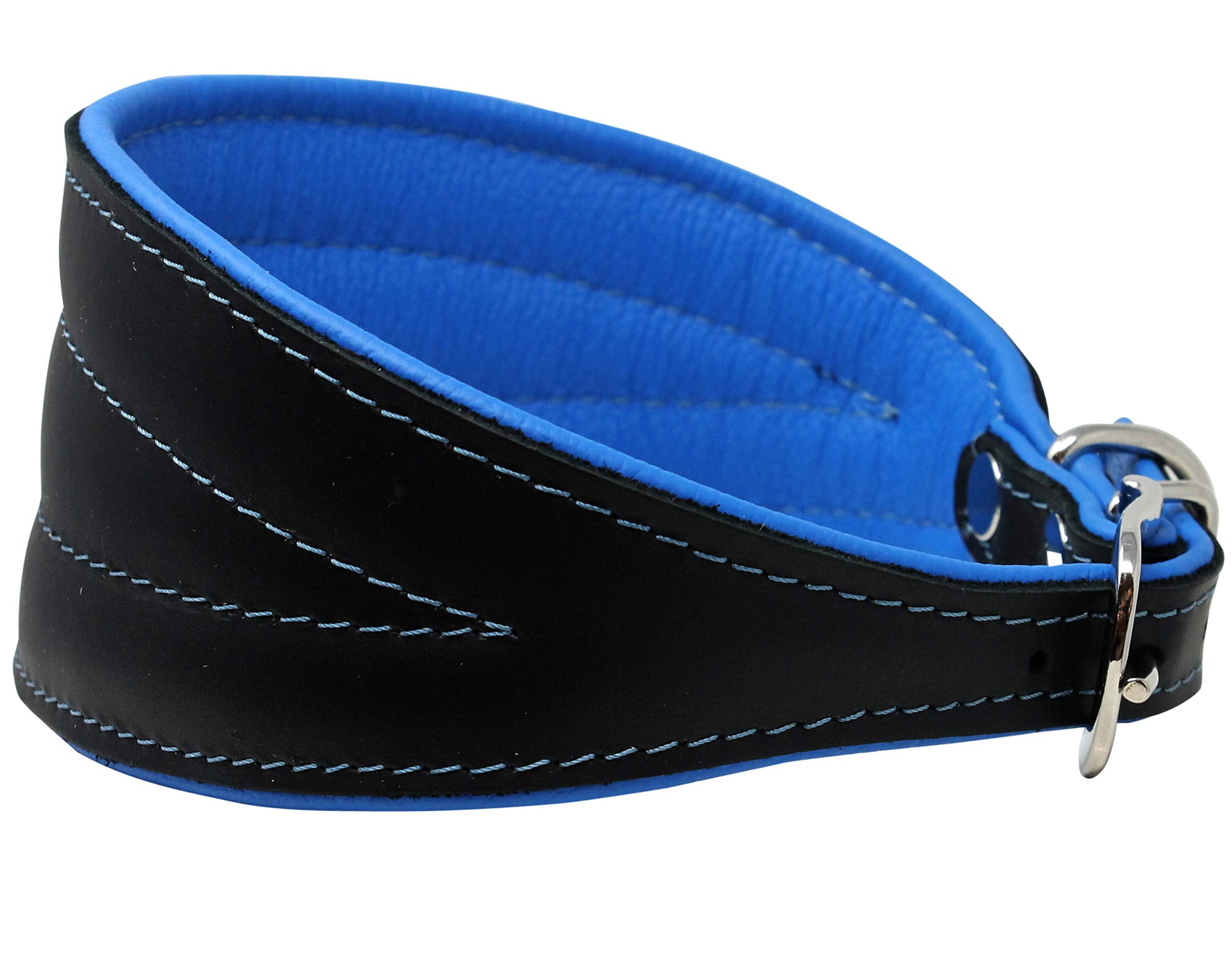 Real Leather Extra Wide Padded Tapered Dog Collar Glossy Black Greyhound Saluki Deerhound Lurcher Whippet Dachshund (16.75''-20'