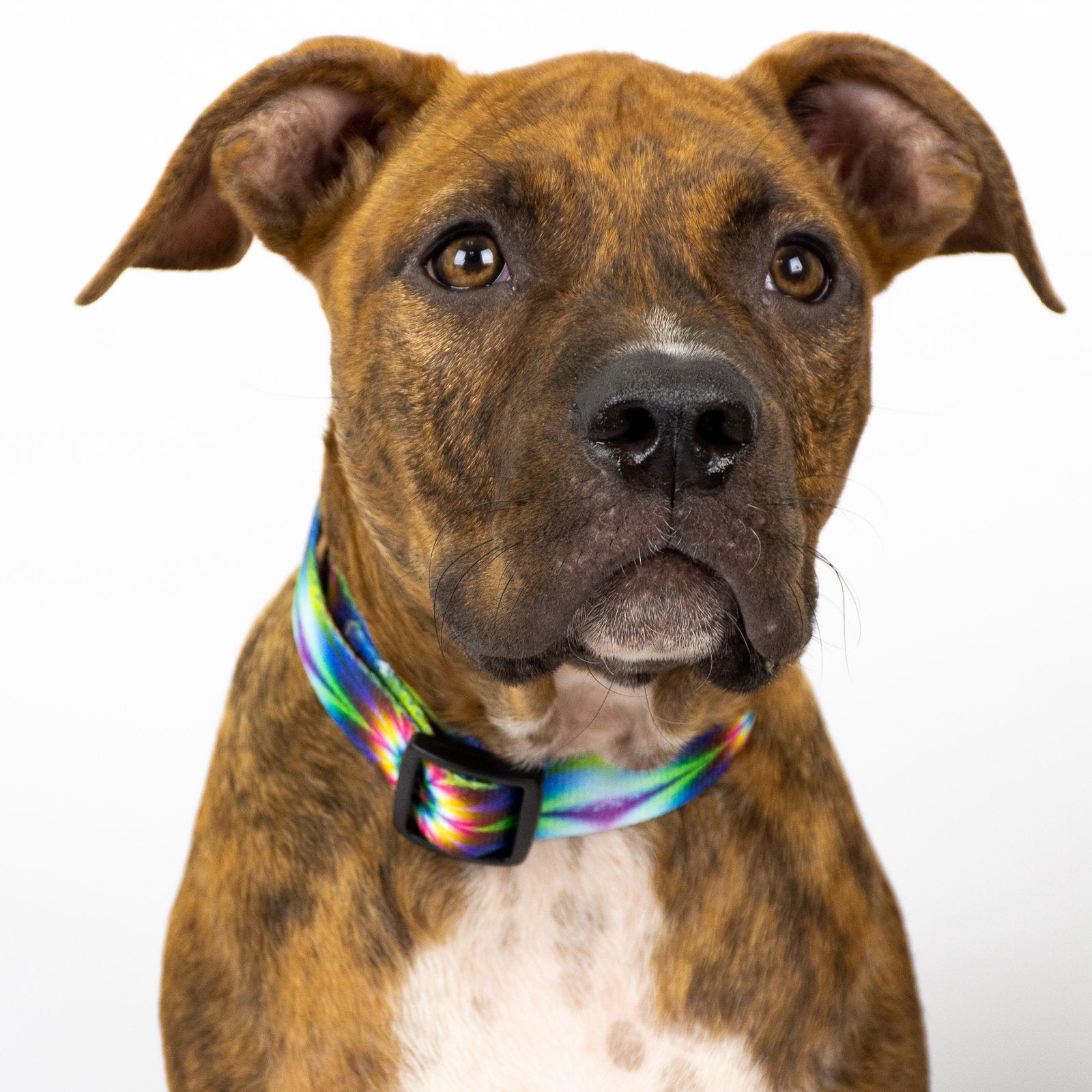 Country Brook Petz - Tie Dye Flowers Replacement Collar For Dog Fence Receivers One Size Fits Most