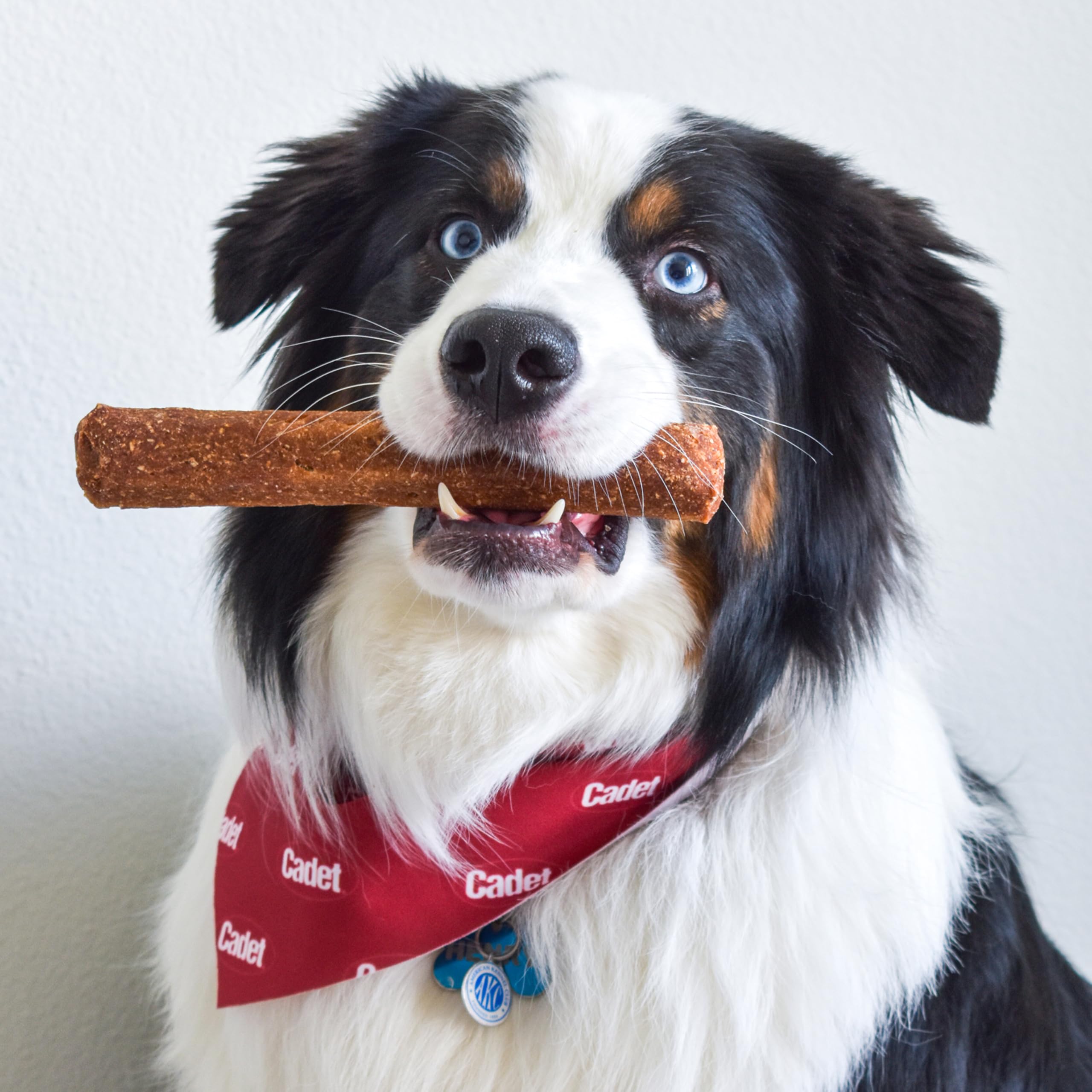 Cadet Chewalicious Chewy N Savory Rolls with Real Duck, Rawhide-Free Healthy Dog Chews, Limited-Ingredient Dog Treats & Long-La
