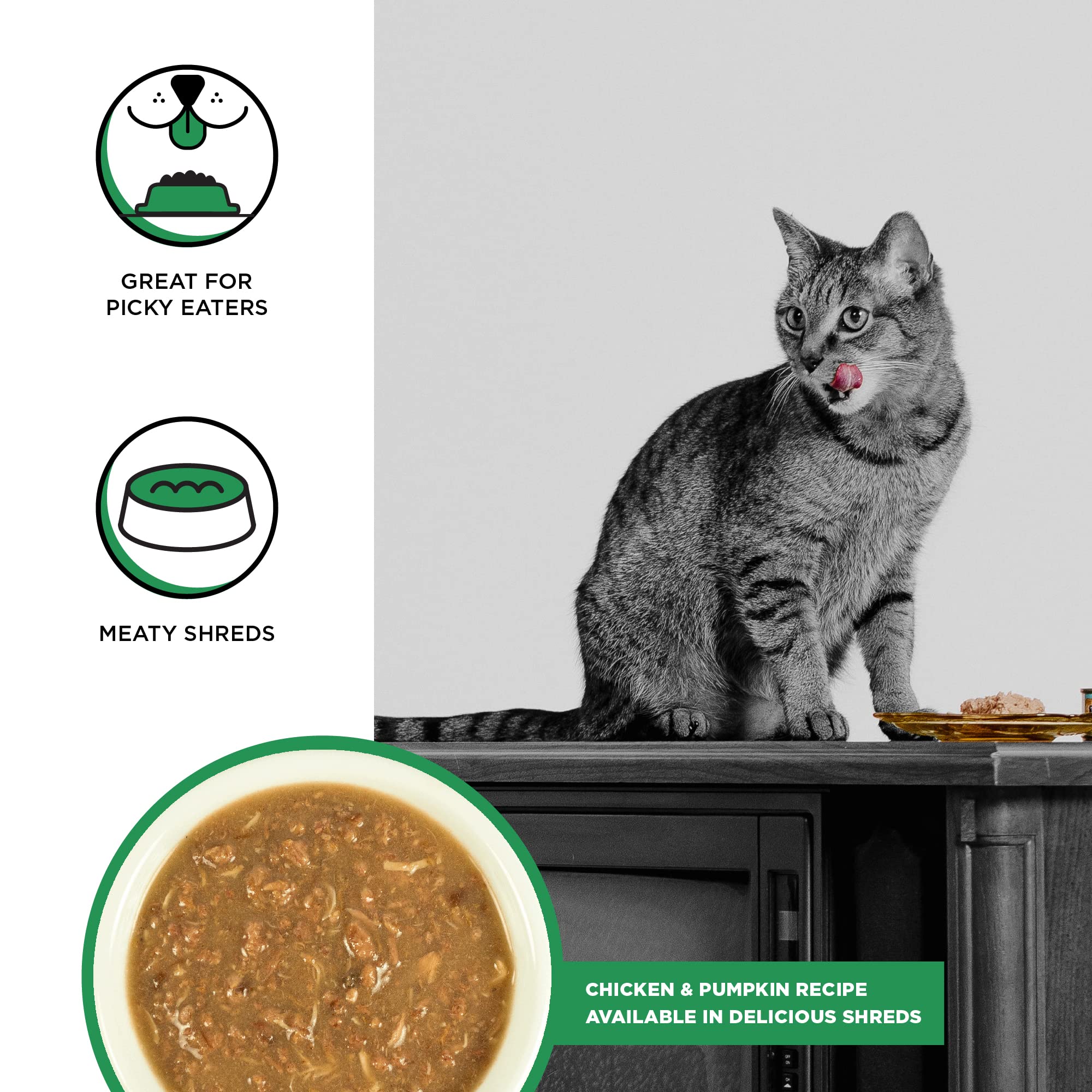 BIXBI Rawbble Shredded Chicken & Pumpkin Recipe Cans - Grain Free, Protein Rich Wet Cat Food - (2.75 Ounce Cans, Case of 24)