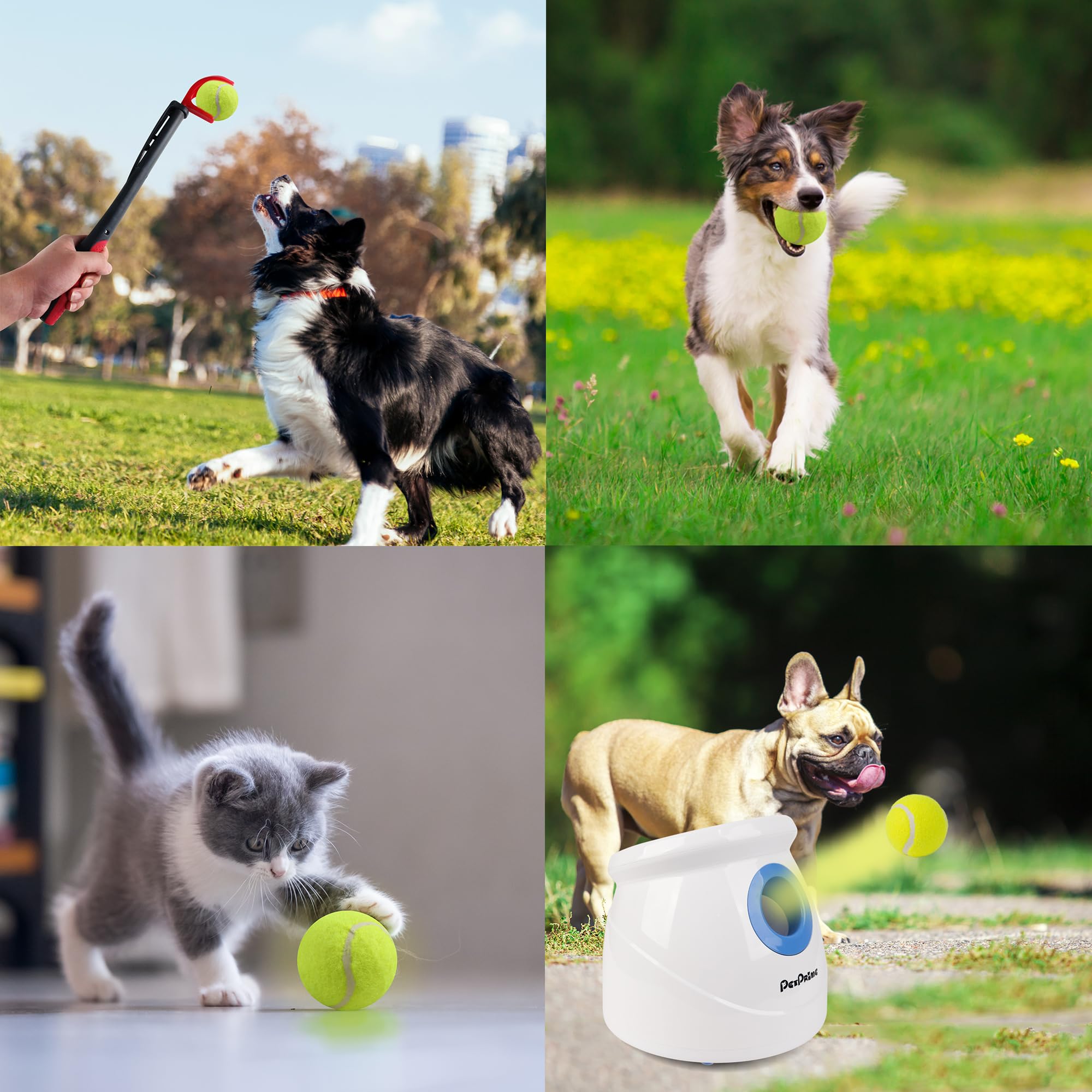 Pet Prime Dog Toy Tennis Ball 6 Pcak 2.5 Inch For Max Automatic Ball Lanucher Interactive Pet Balls For Exercise Training Play F