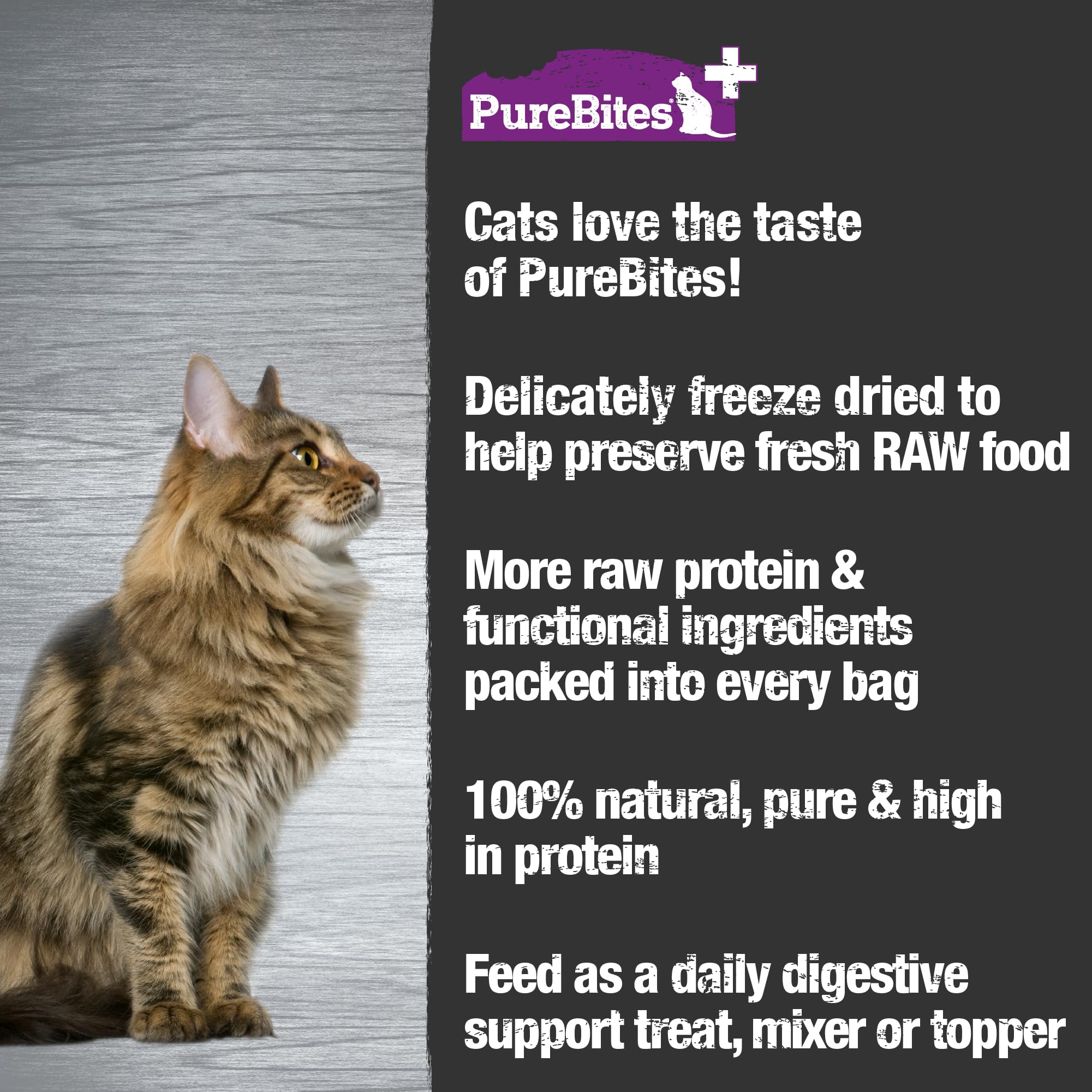 PureBites+ Freeze Dried Cat Treats 31g | Gut & Digestion | 5 Ingredients | Made in USA