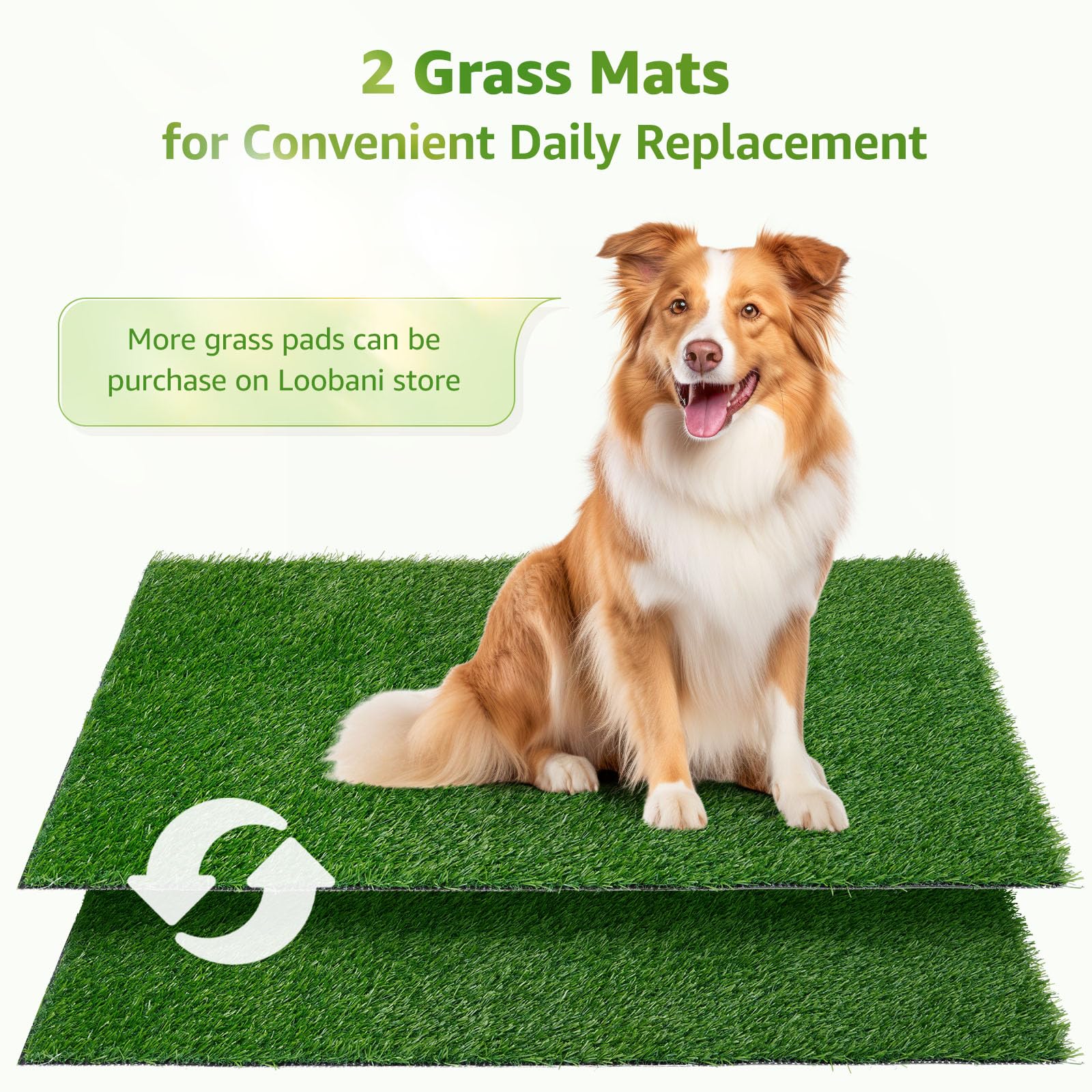 Loobani 45X29In Large Dog Grass Potty Tray - Dog Litter Box With 2-Pack Replacement Artificial Grass Puppy Training Pads - Potty