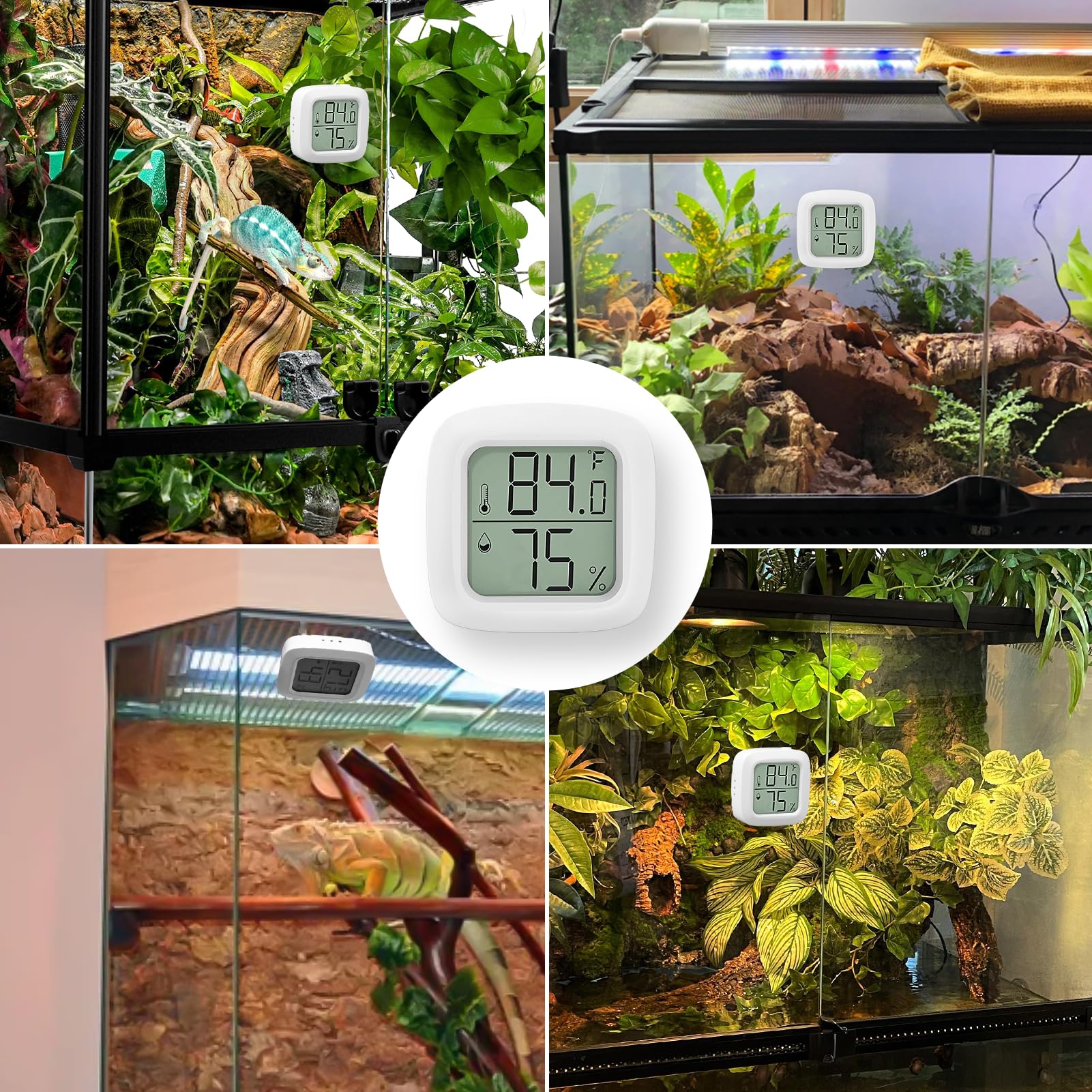 Bsresin 2 Pcs Reptile Thermometer And Humidity Gauge For Reptile Tank With On-Off, Reptile Tank Accessories For Jumping Spider,