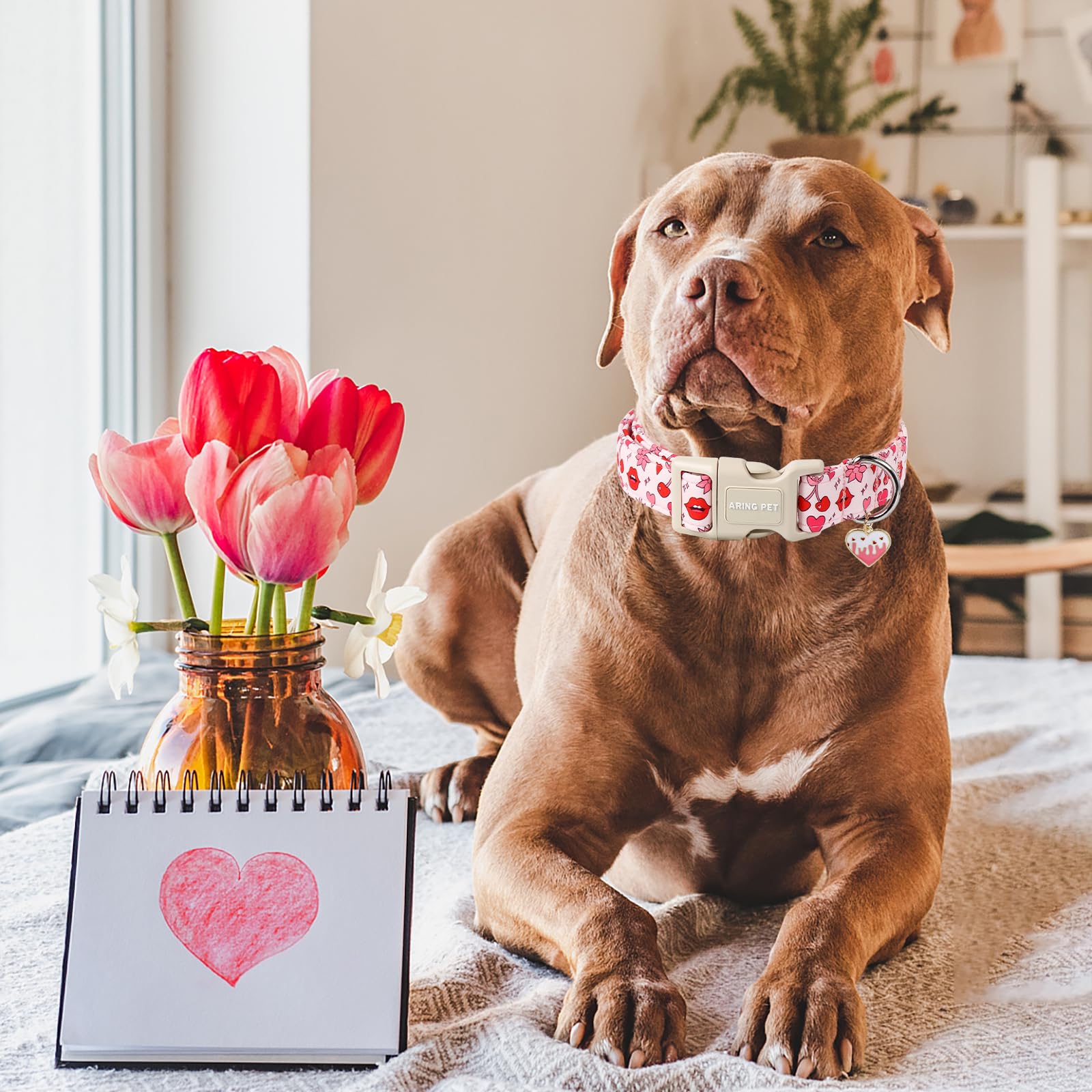 Aring Pet Valentine'S Day Dog Collar-Cute Pink Heart Dog Collars, Adjustable Valentine Lips Pet Collars Puppy Collar With Quick
