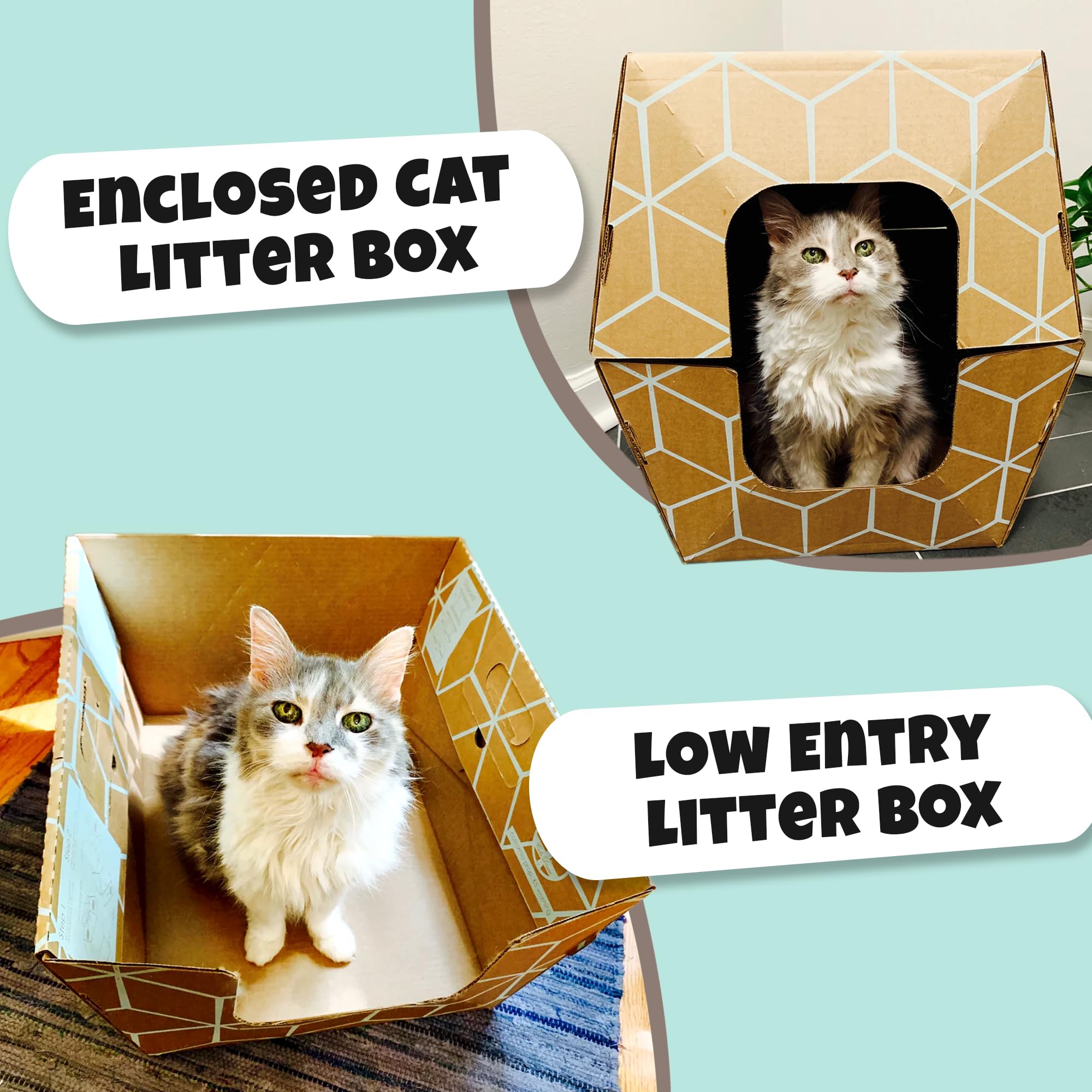 Cats Desire Litter Box - Disposable Litter Boxes For Cats (3 Pcs) - Top/Low Entry & Enclosed Box - Teal On Natural Brown, Partia