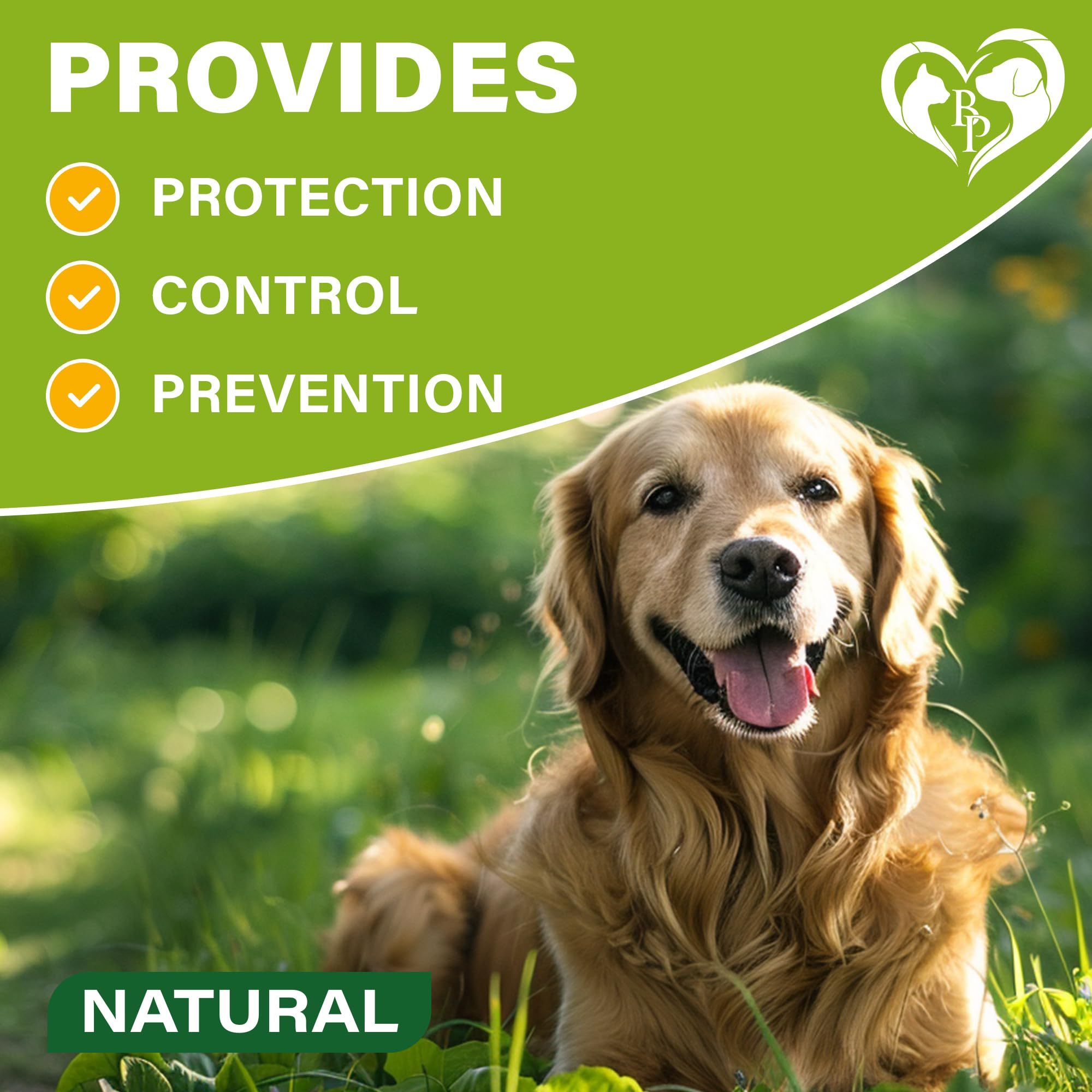 Natural Flea & Tick Collar For Dogs - 6 Months Control Of Best Prevention & Safe Treatment - Anti Fleas And Ticks Essential Oil