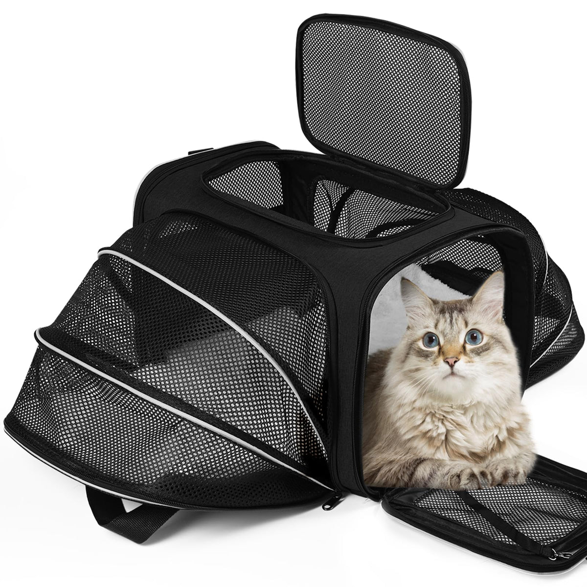 Vkystar Airline Approved Pet Carrier, Soft Sided Portable Pet Travel Carrier 2 Sides Expandable Cat Carrier With Removable Fleece Pad,Safety Leash And Shoulder Strap,Dog And Small Animal(Black)